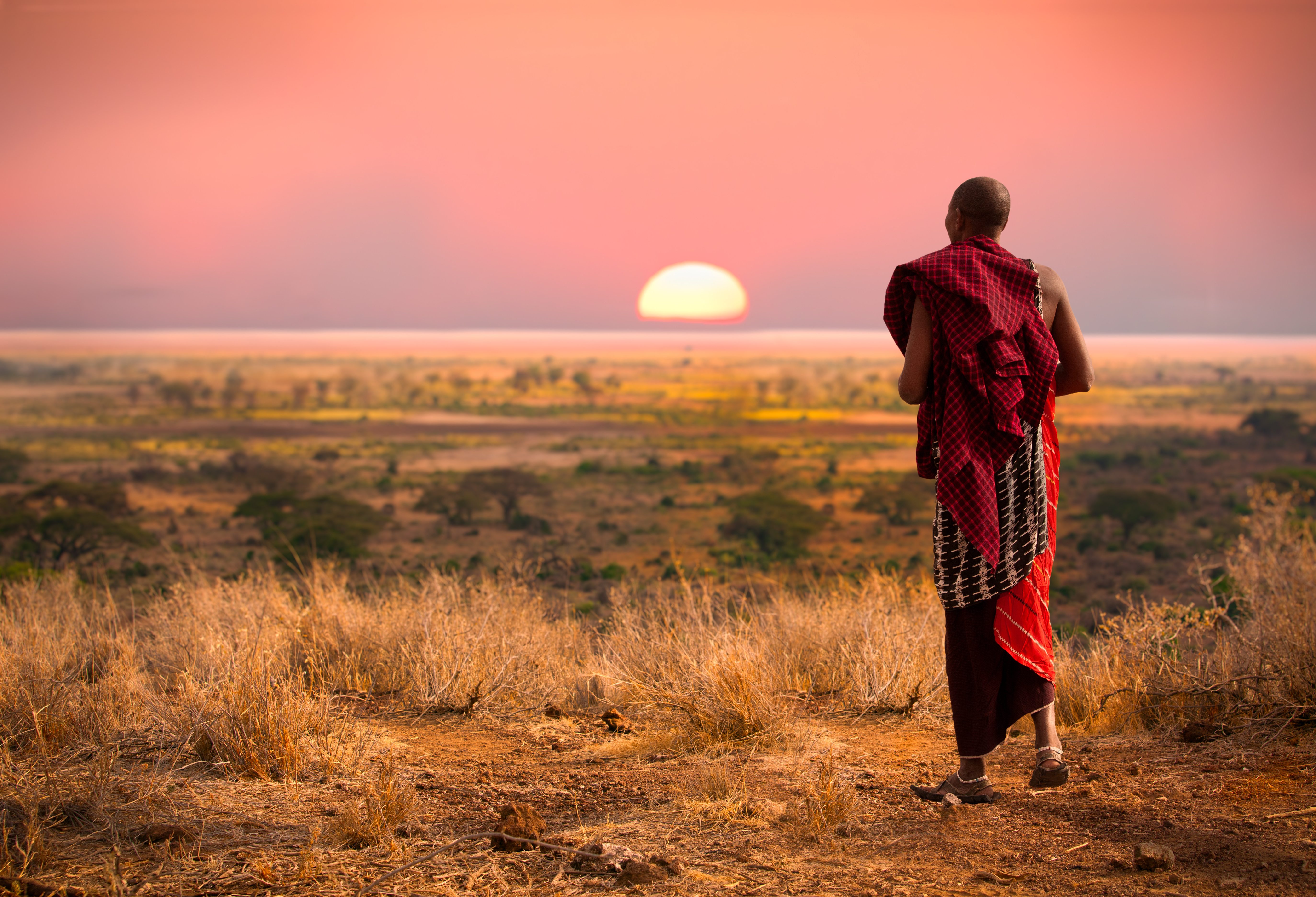 Maasai man kijkt uit over de Serengeti in Tanzania