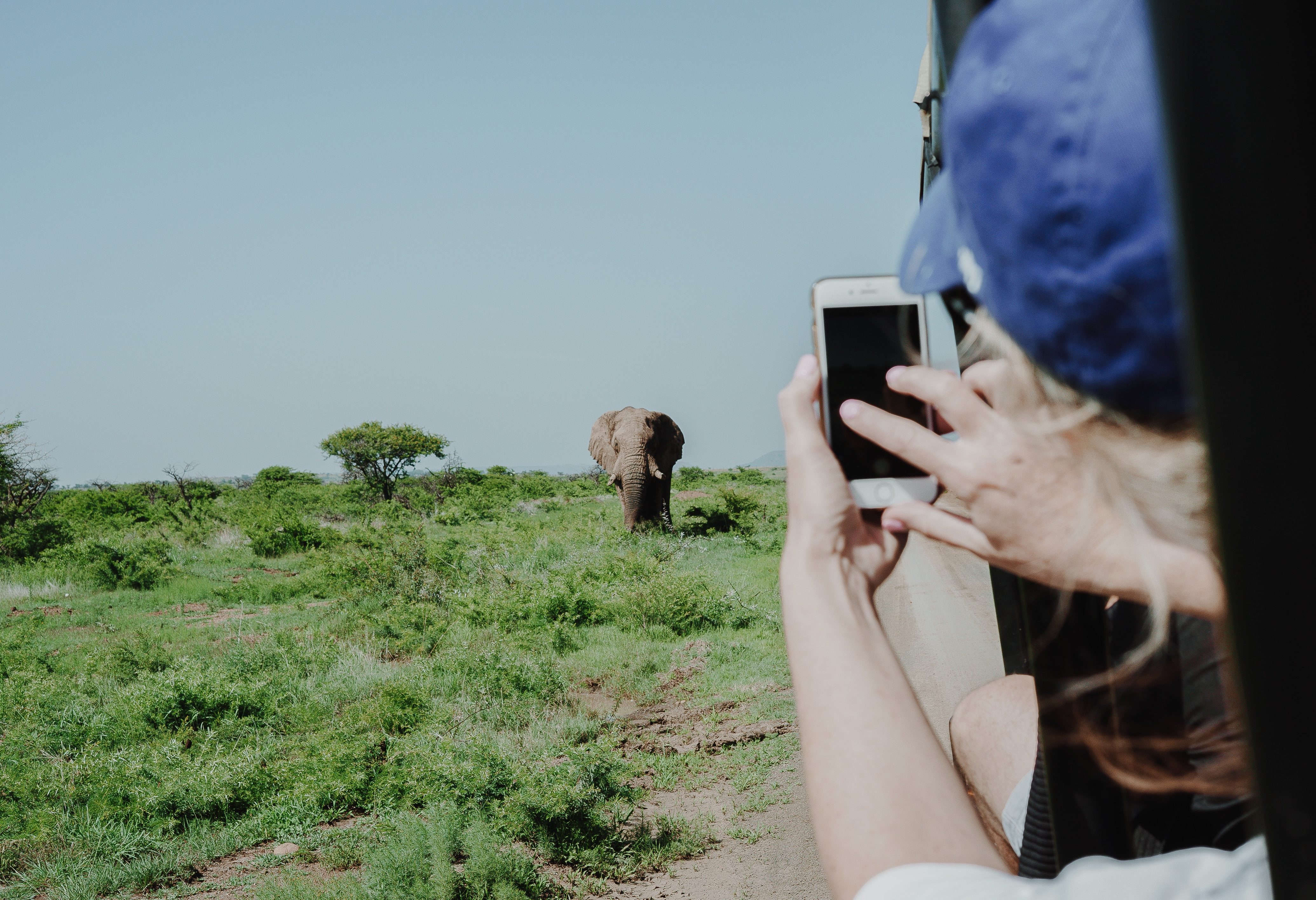 Game drive in Sri Lanka