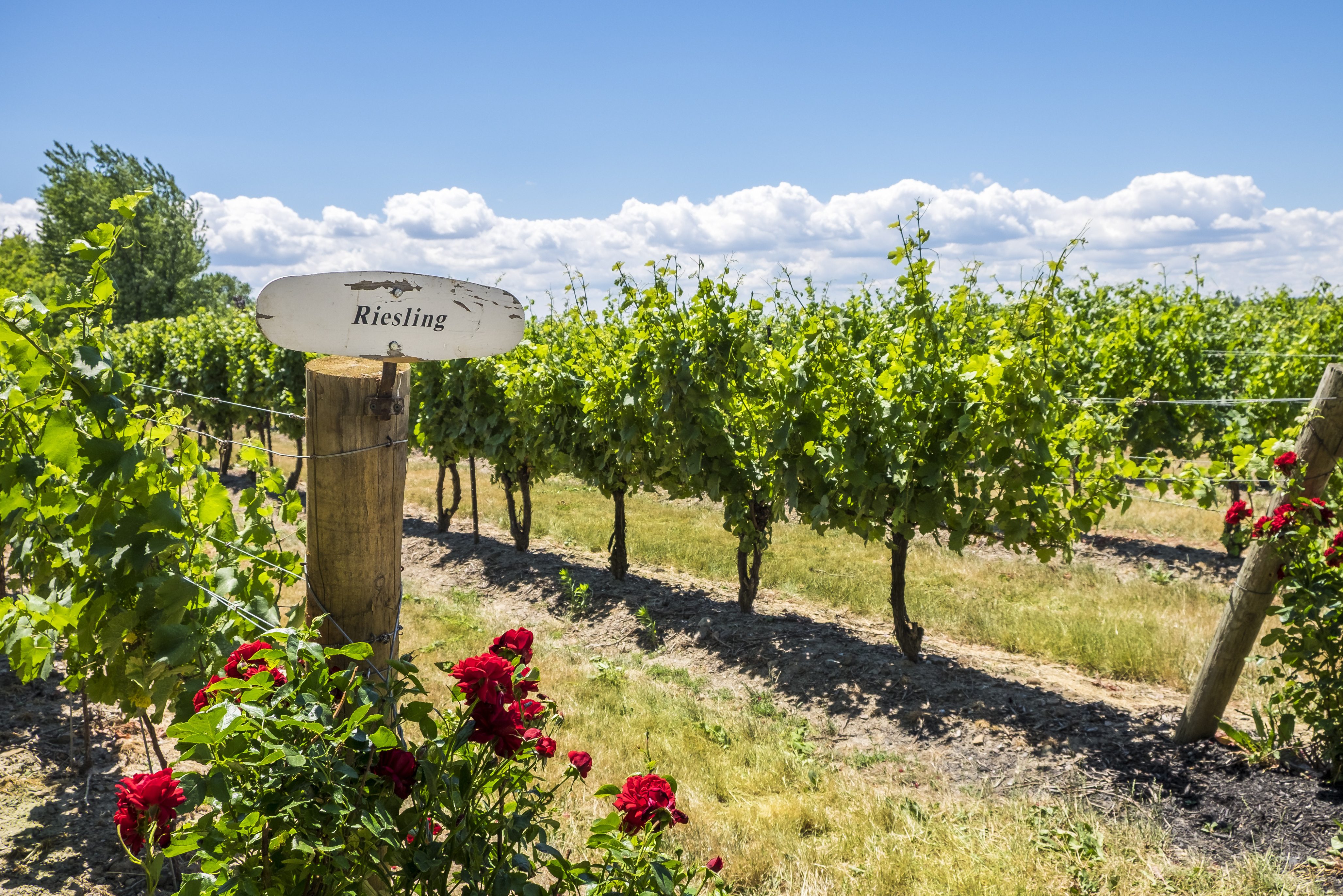 Niagara on the Lake in Canada