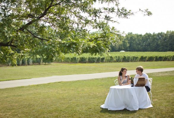 Picknick in de wijngaard Niagara on the Lake