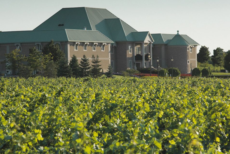 Wijngaard Niagara on the Lake