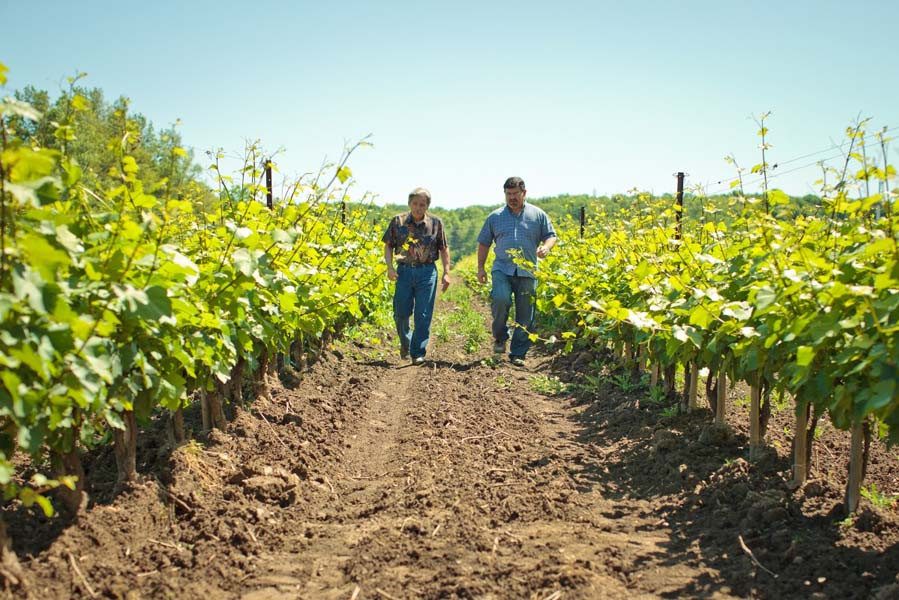 Wijngaard Niagara on the Lake