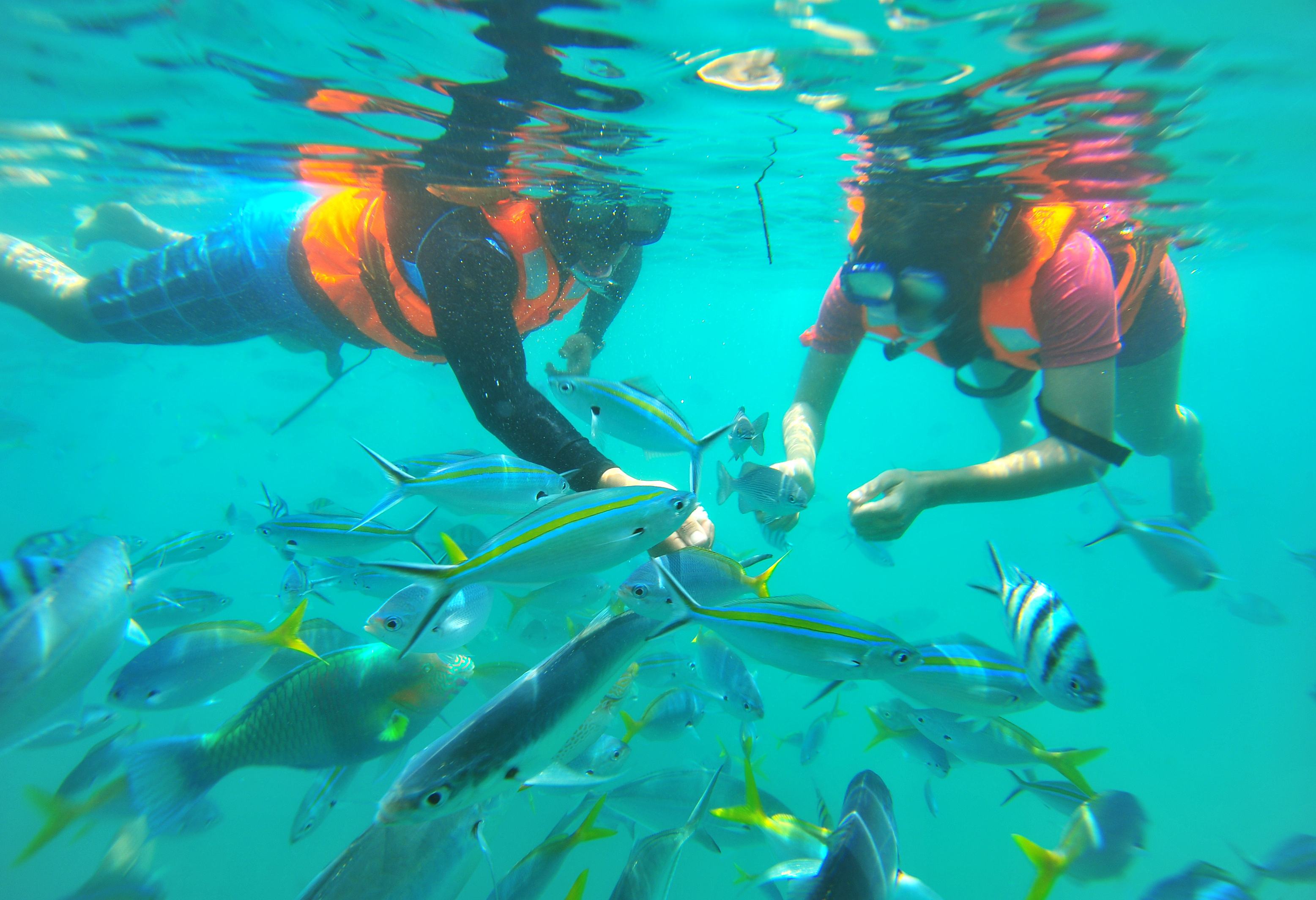 Snorkelen in Sri Lanka