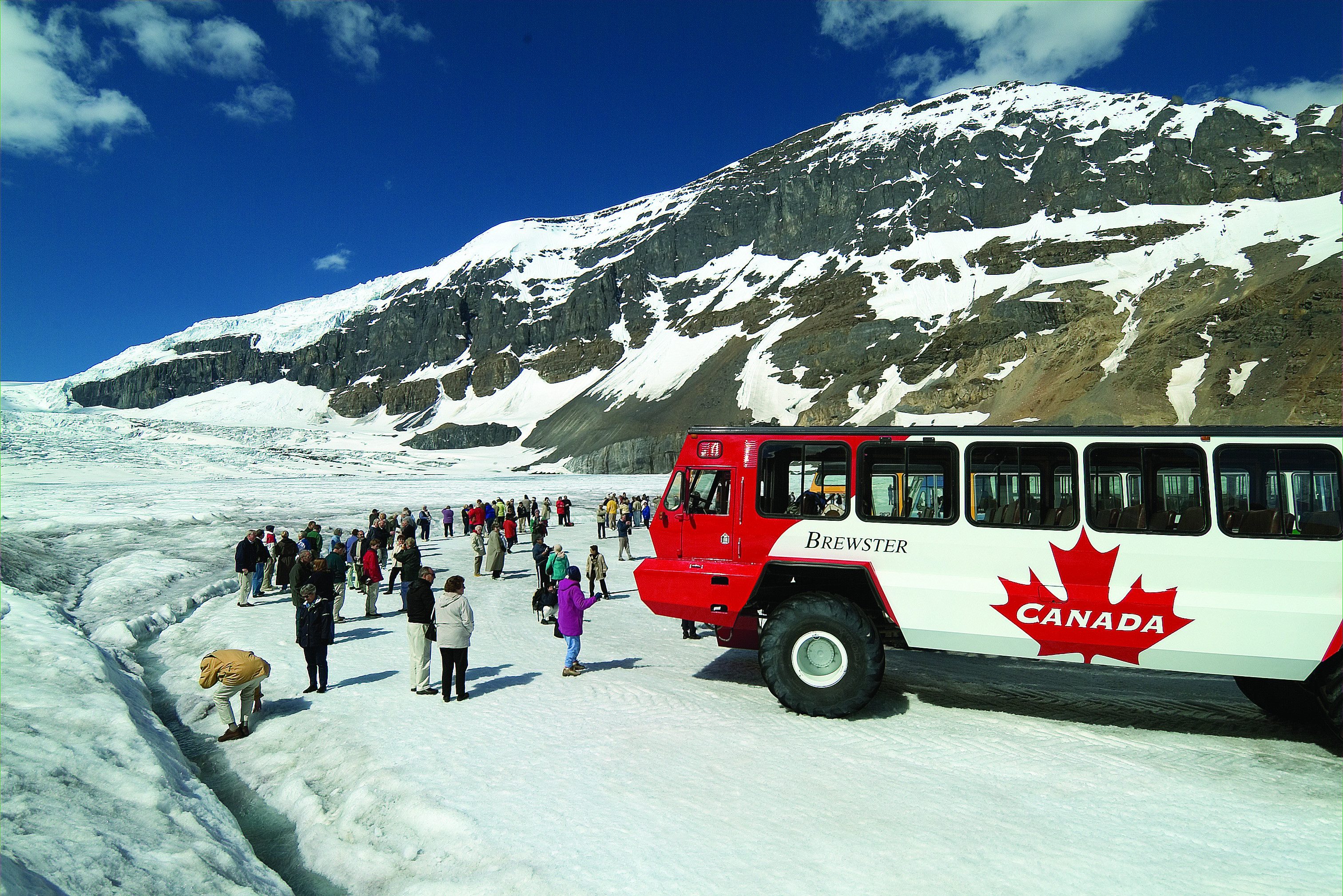 columbia icefield walking tour