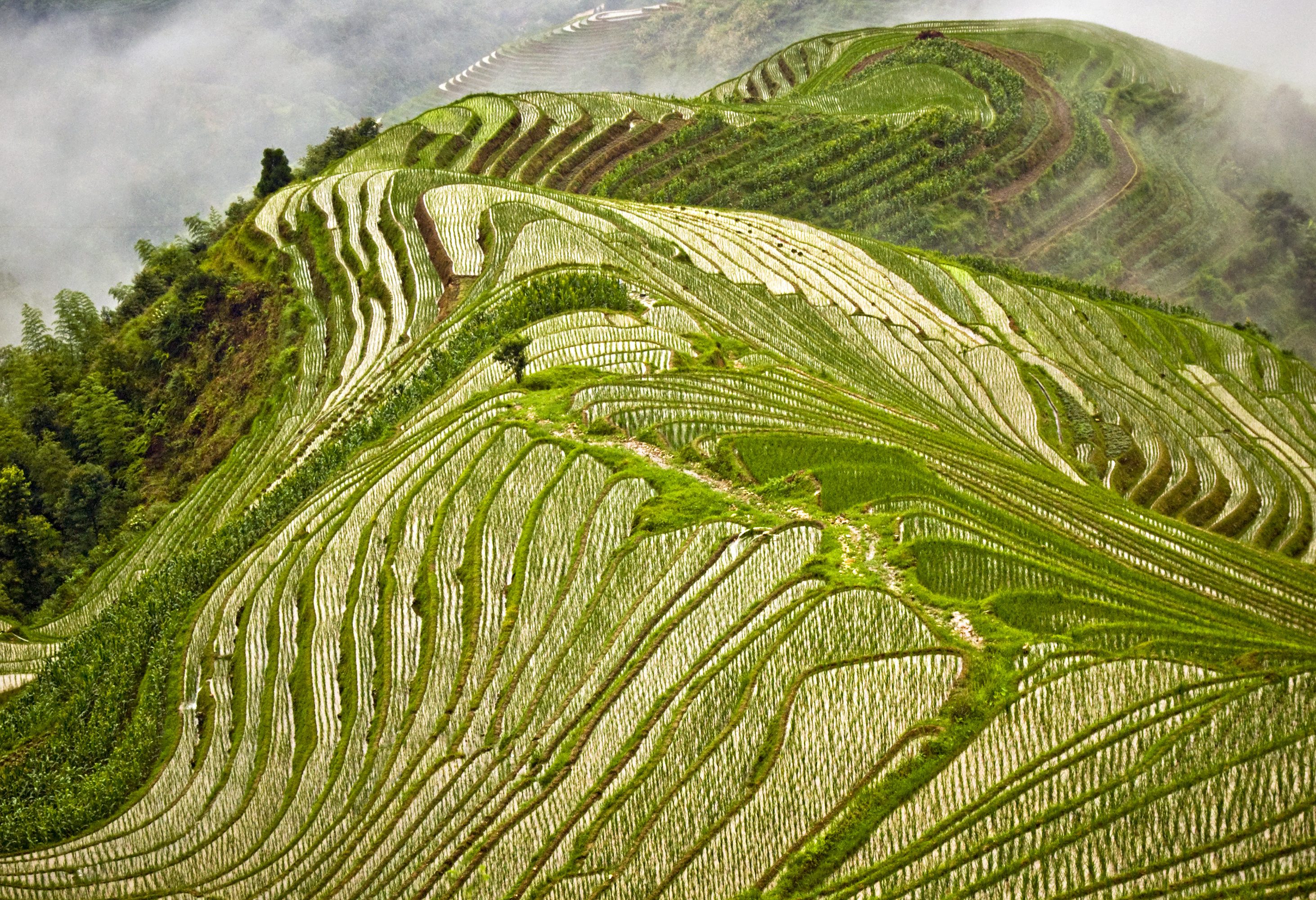 De Drakensrug rijstvelden bij Pingan in China
