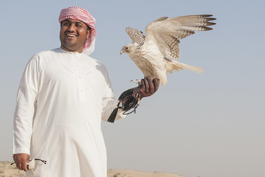 Traditionele valkenier Dubai