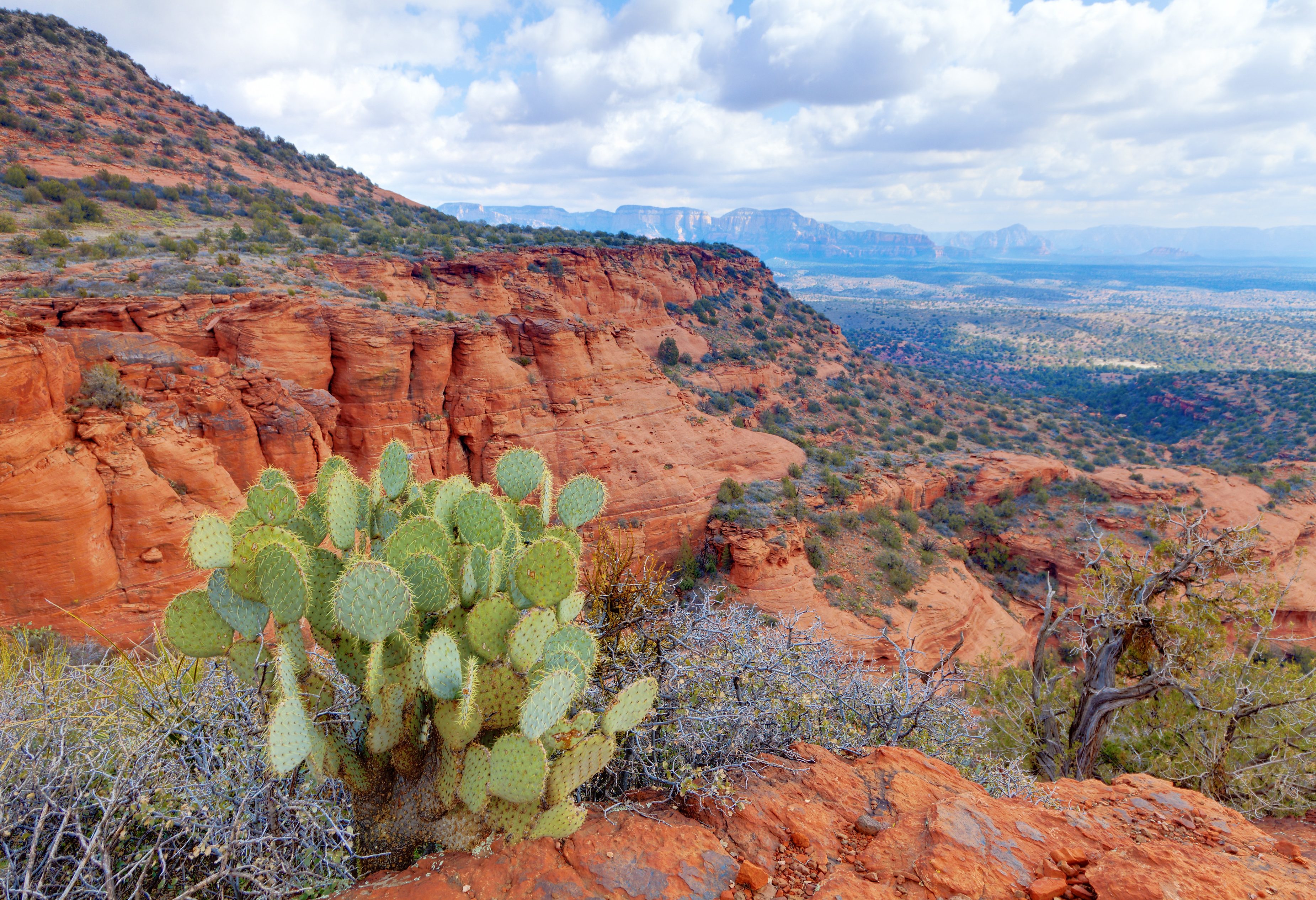 Red Rock Park in Sedona in Arizona
