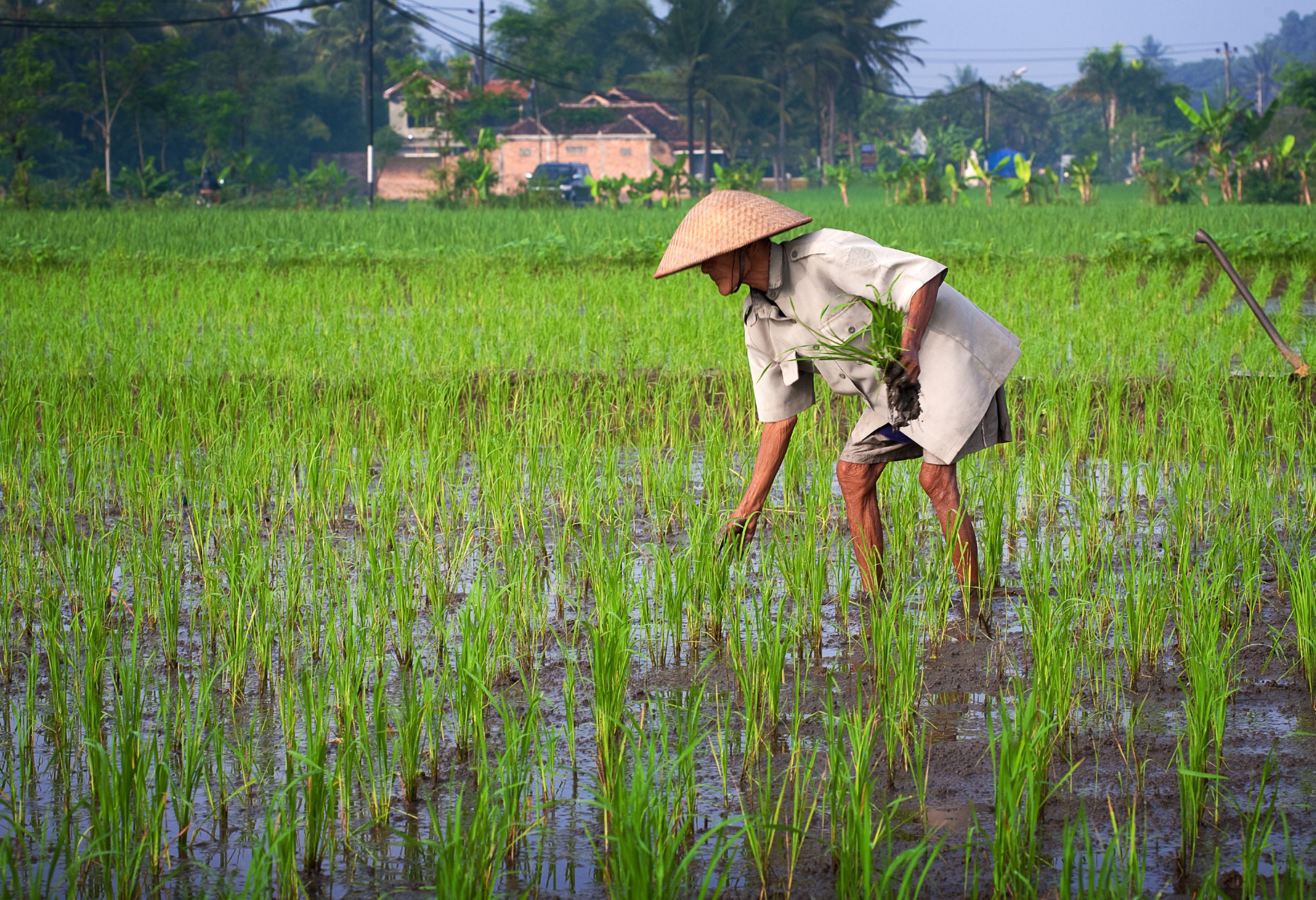 Boer aan het werk op Java