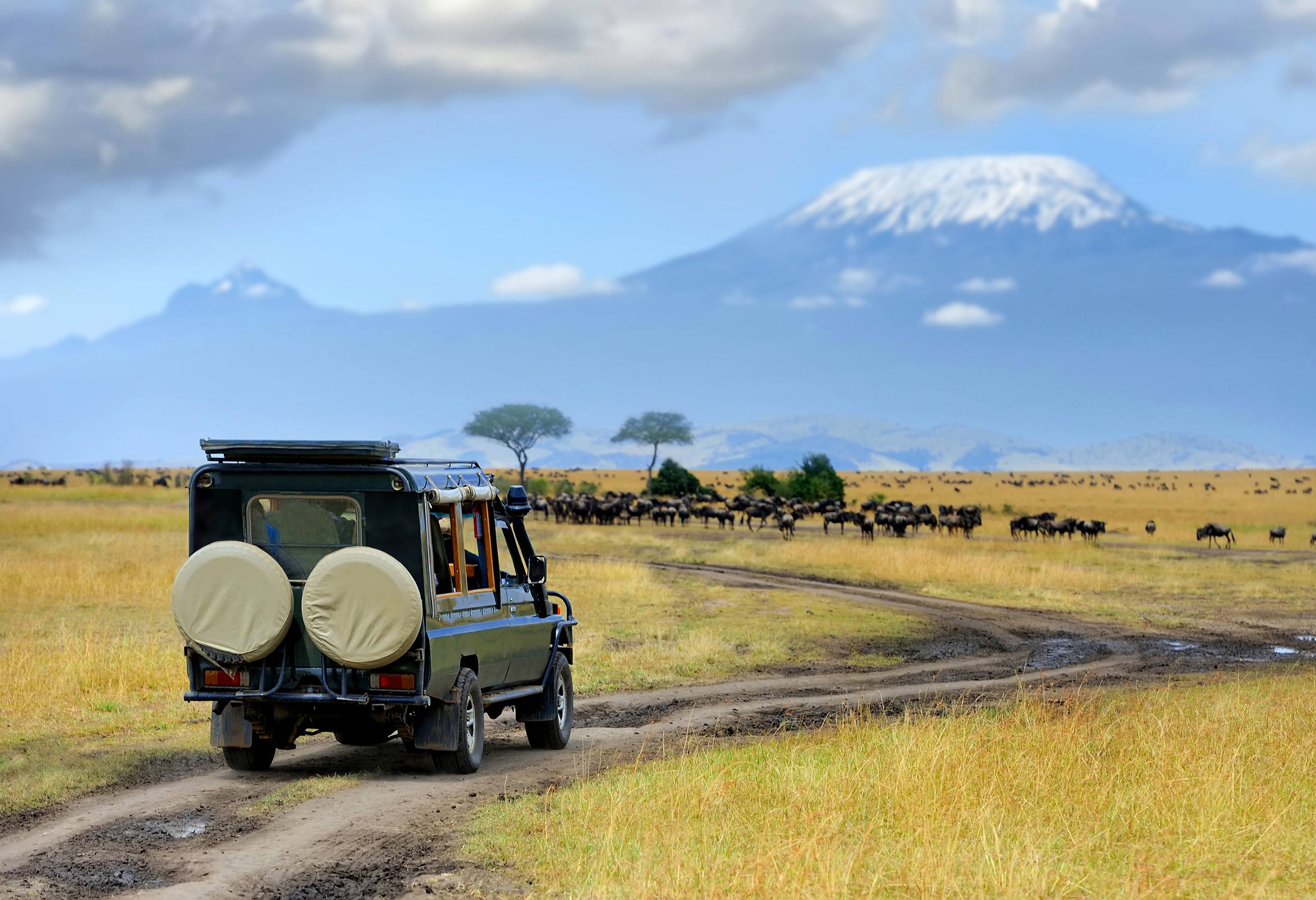 Amboseli National Park