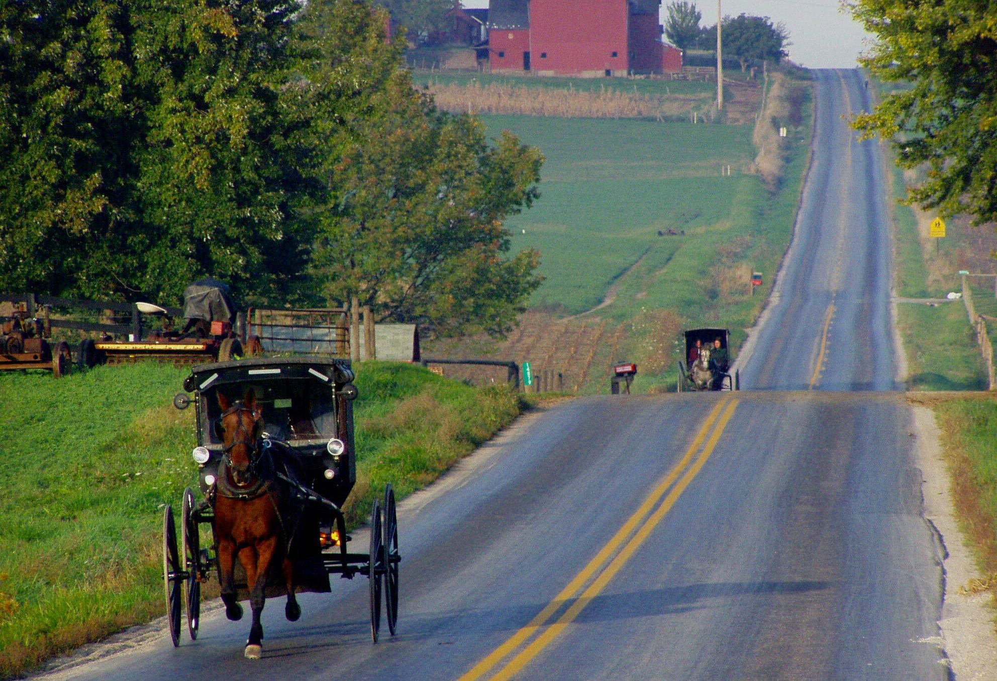 Paard en Wagen bij Amish country