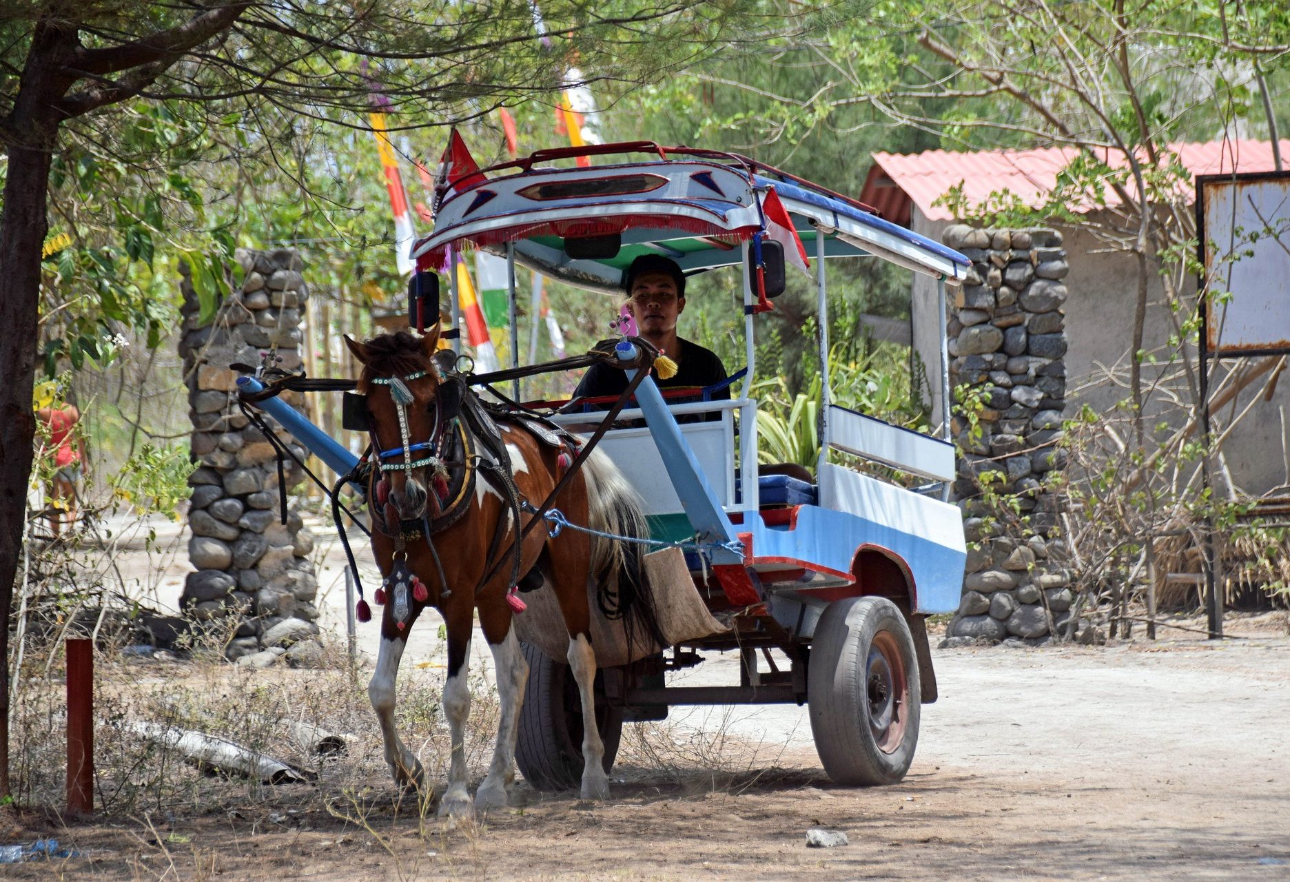 Cidomo op Gili Trawangan Lombok
