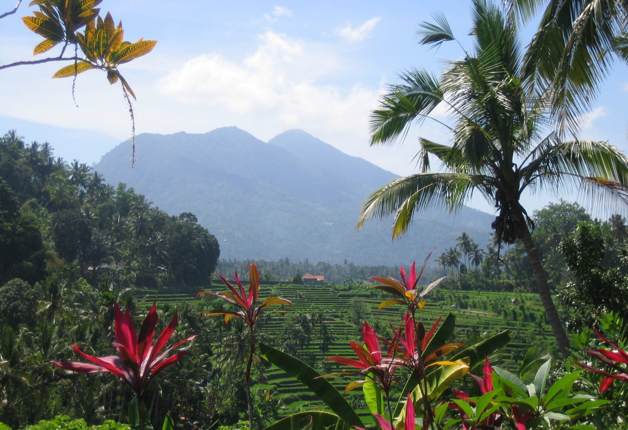 Uitzicht homestay Tirtagangga