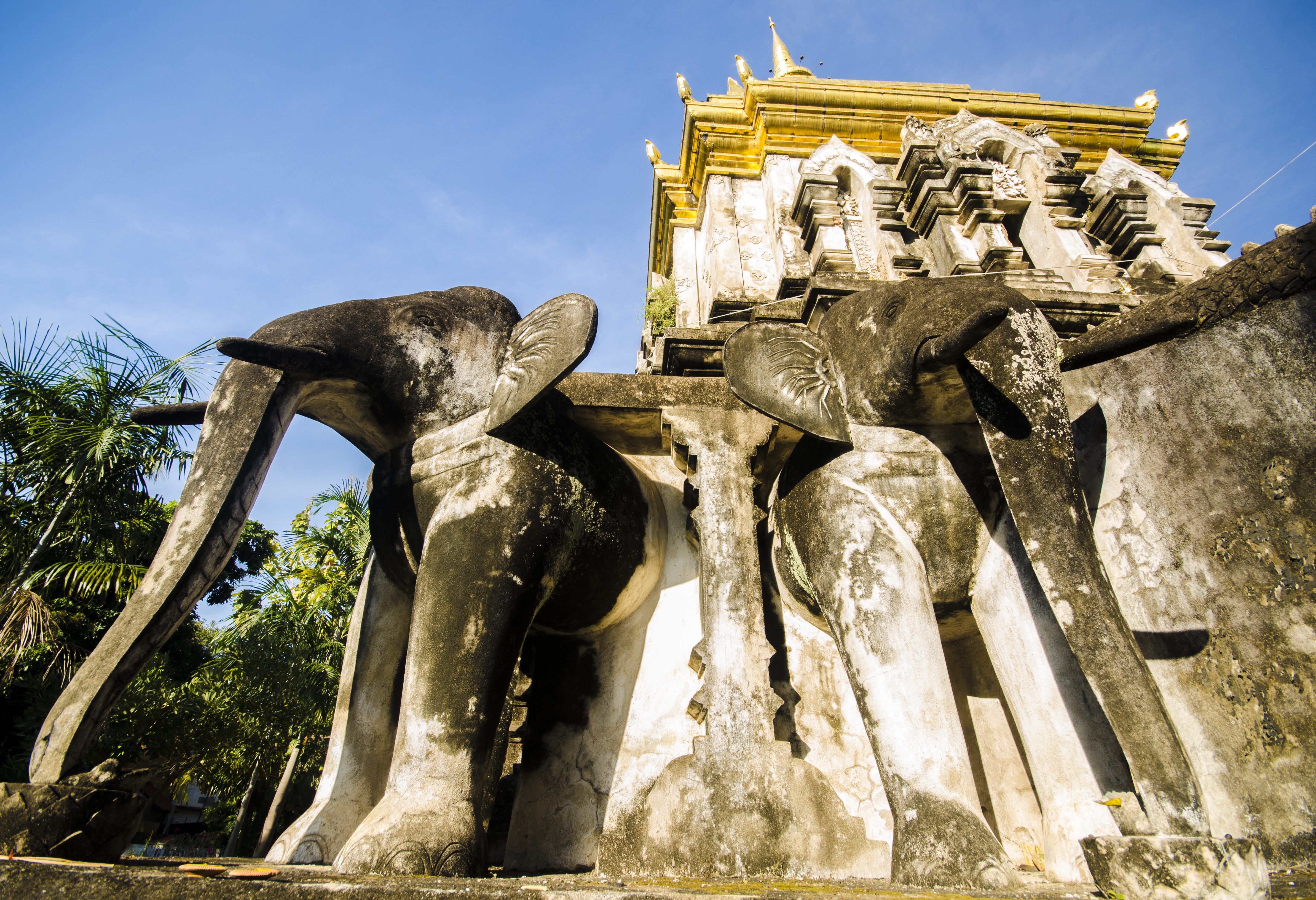 Wat Chiang Man in Chiang Mai, Thailand