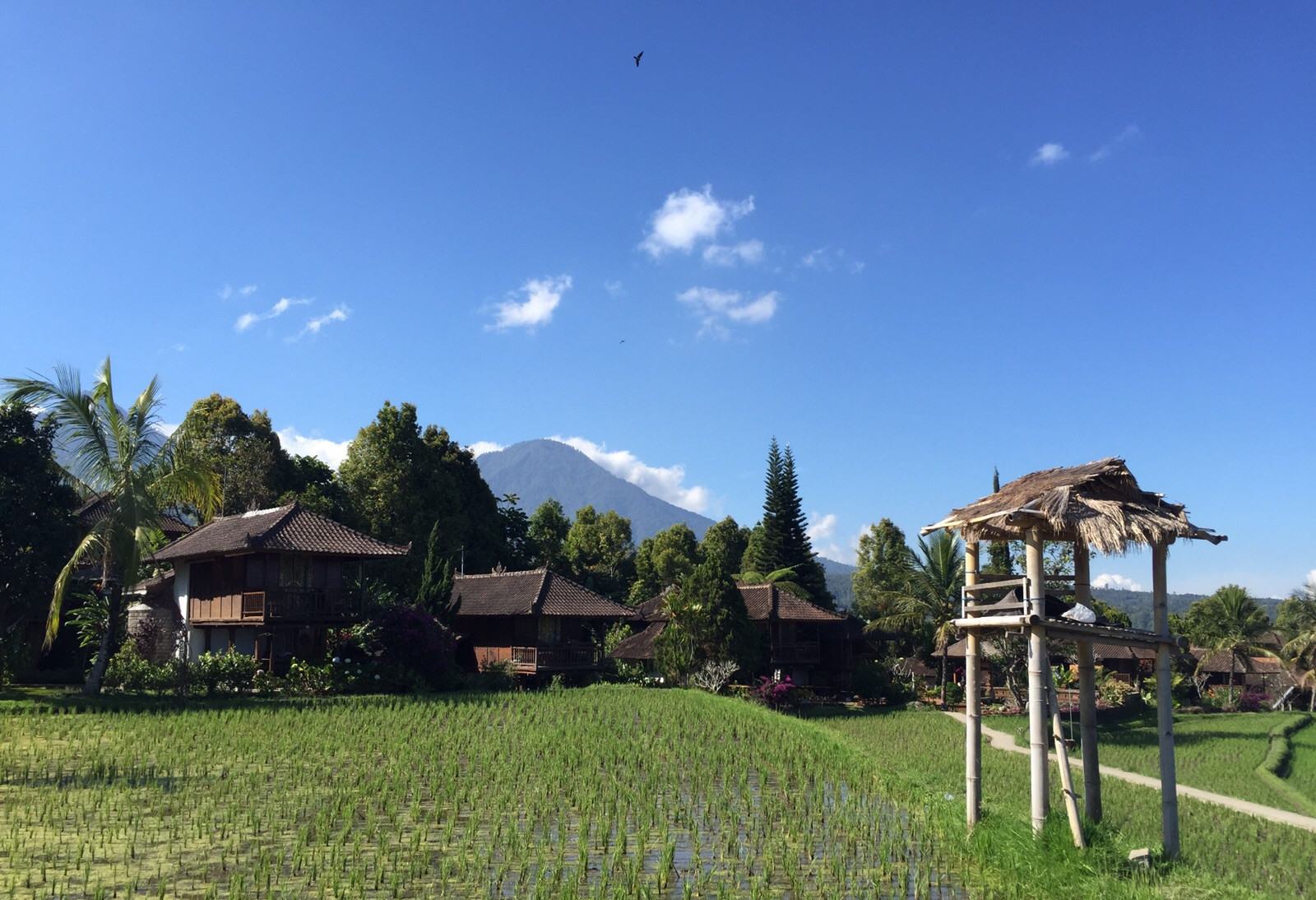 Puri Lumbung Cottages in Munduk Bali