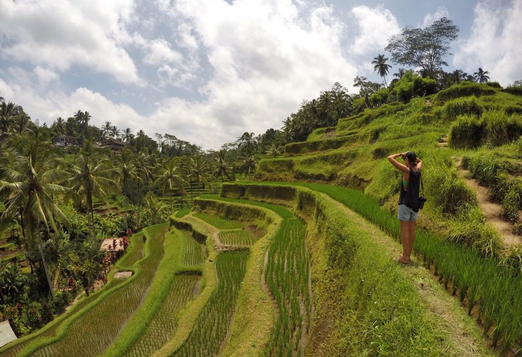 Wandelen rijstvelden ubud Bali