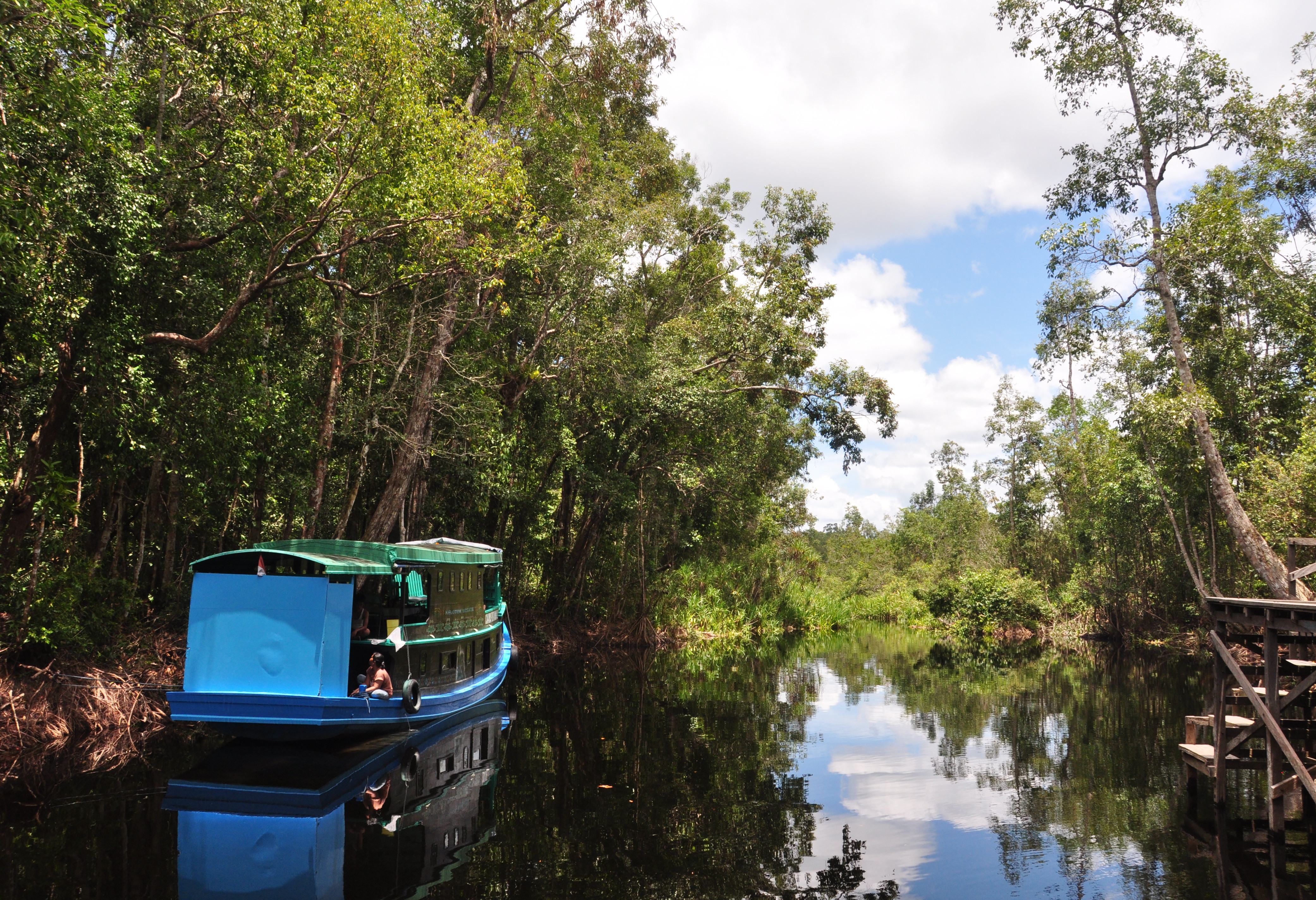 Klotok boot Tanjung Puting National Park Kalimantan