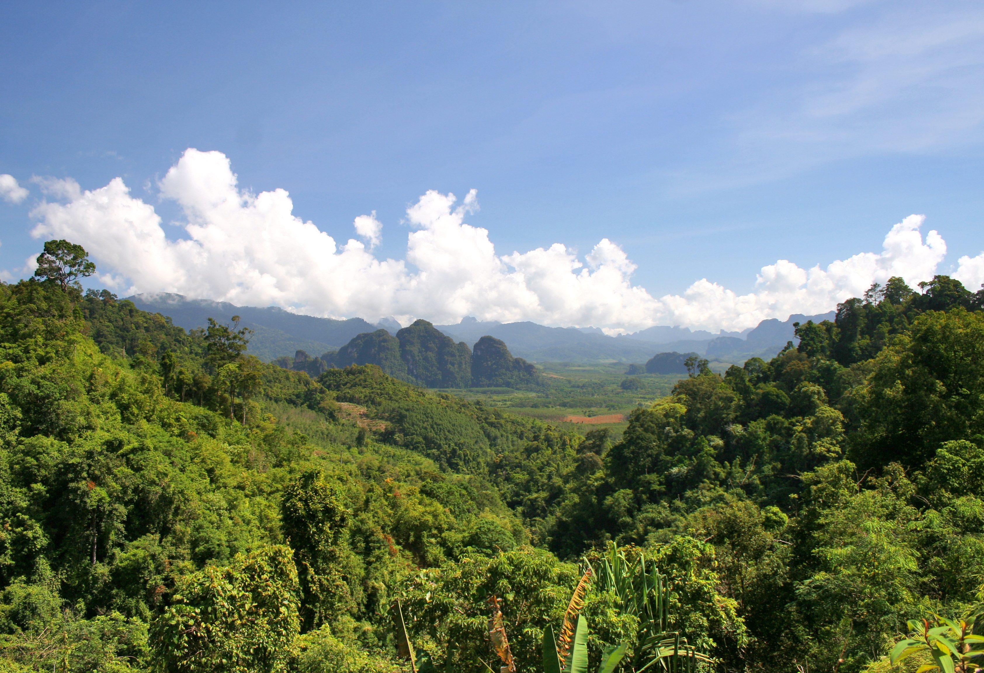 Uitzicht over het Khao Sok National Park in Thailand