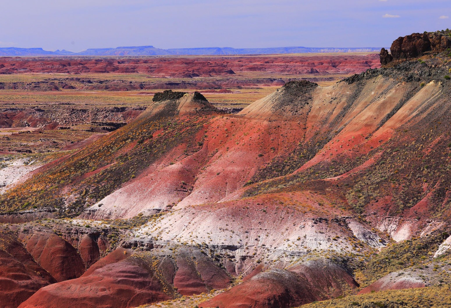 Painted Desert in Petrified Forest bij Holbrook