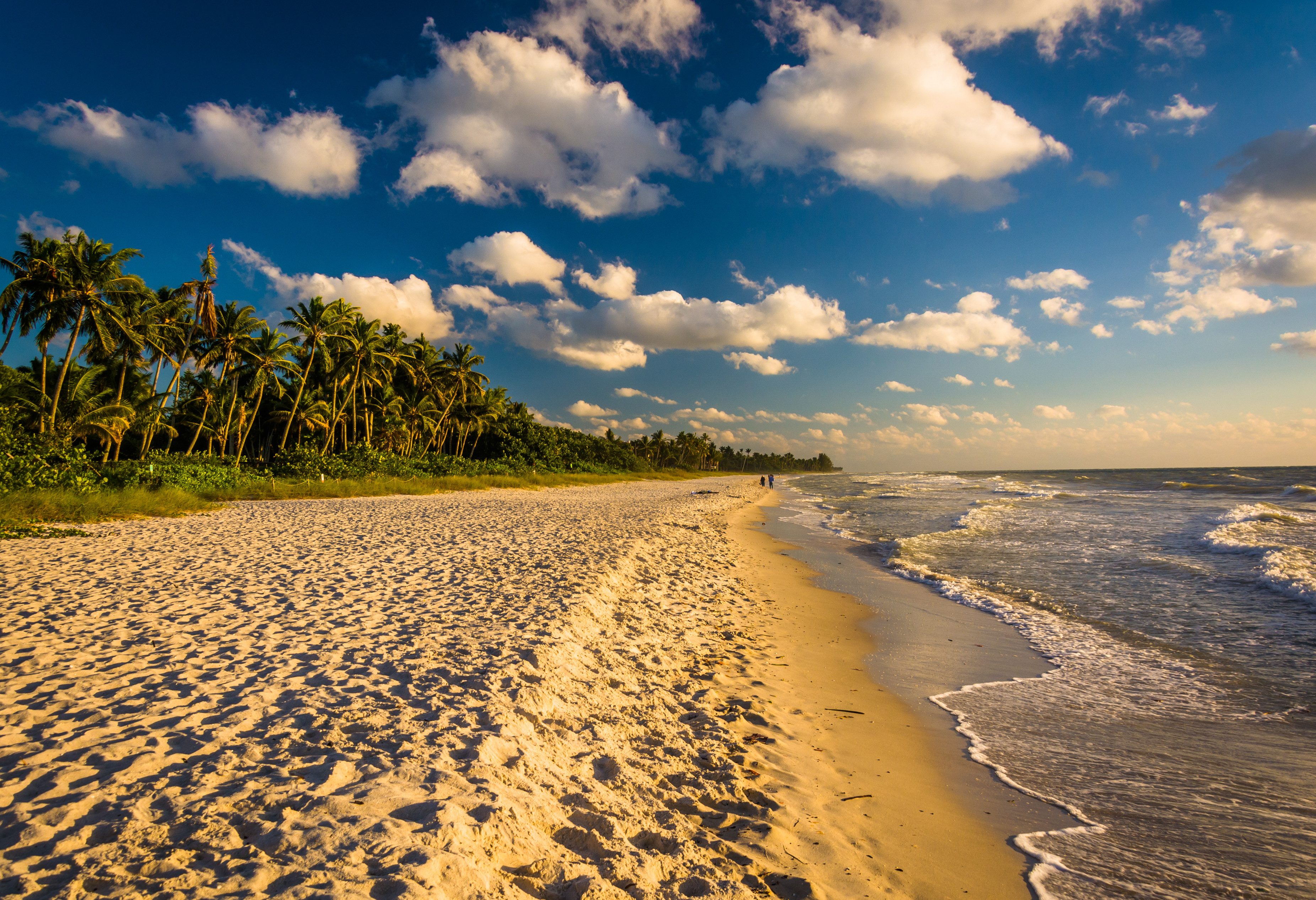 Strand bij Naples Florida