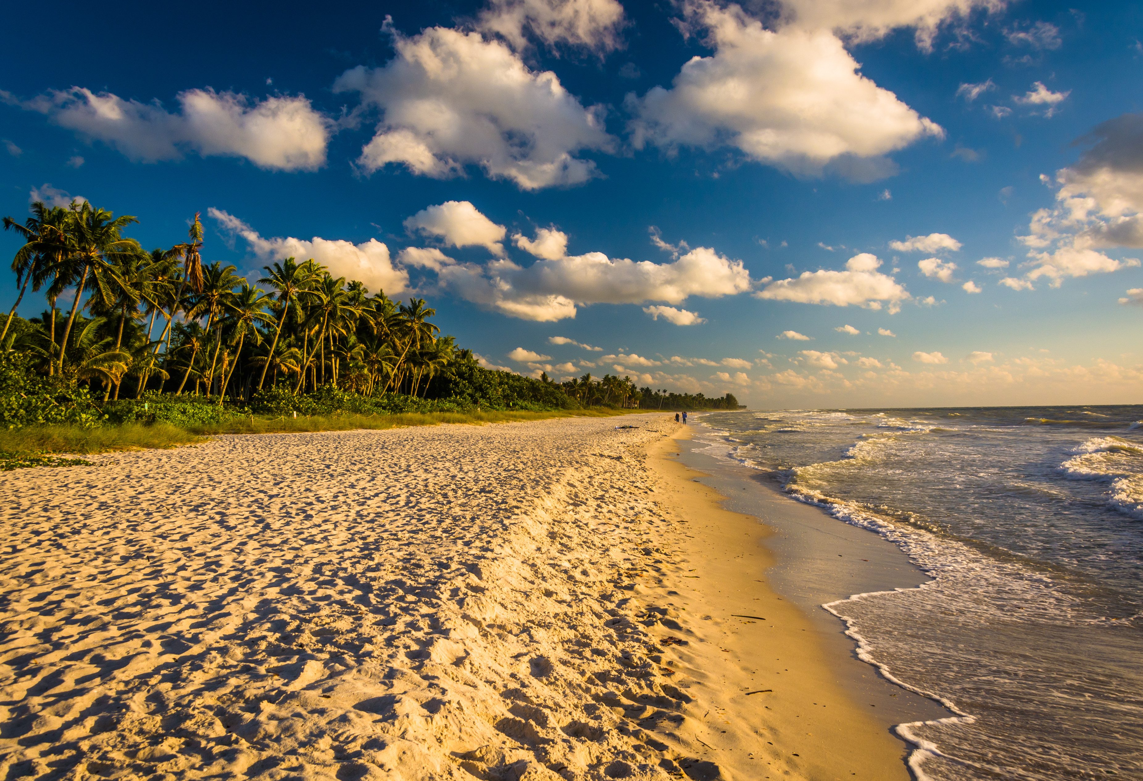 Strand bij Naples in Florida