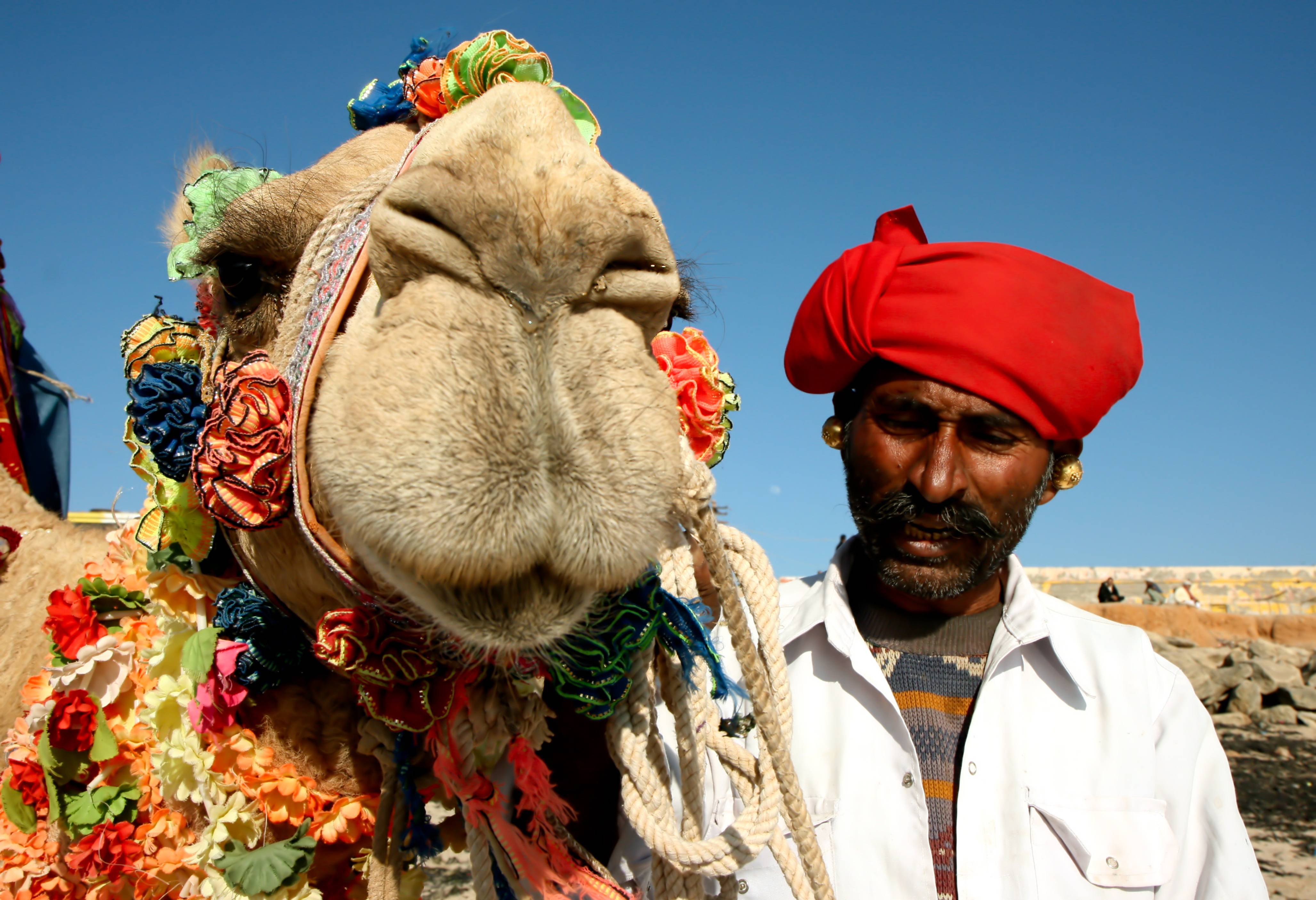 Kamelenfestival in Pushkar in India