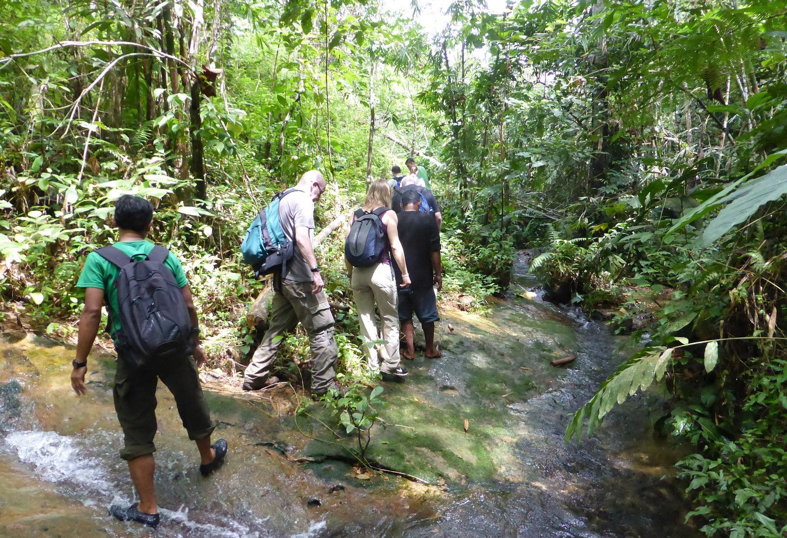 Jungle trekking Gunung Leuser National Park Sumatra