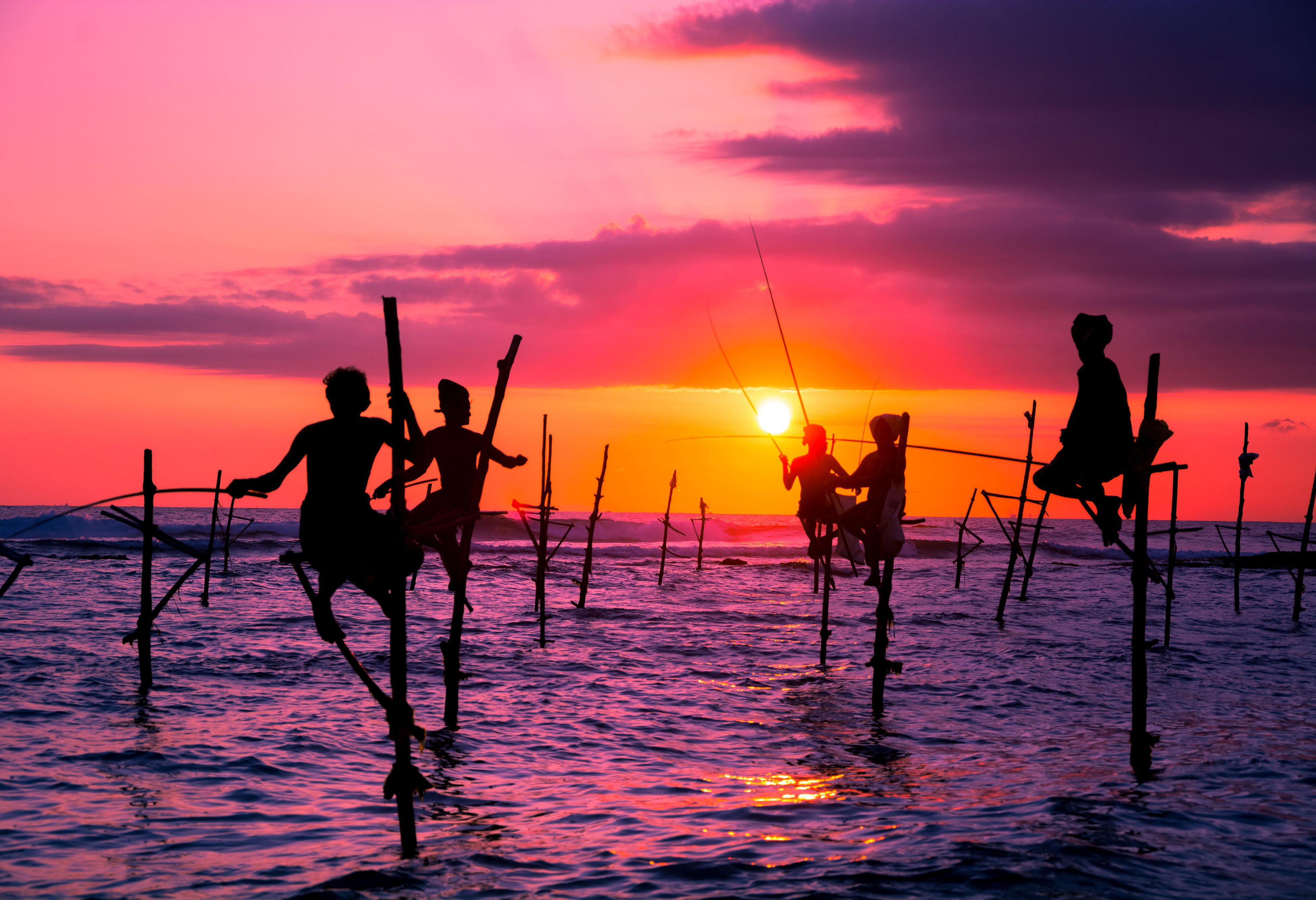 Paalvissers in Sri Lanka