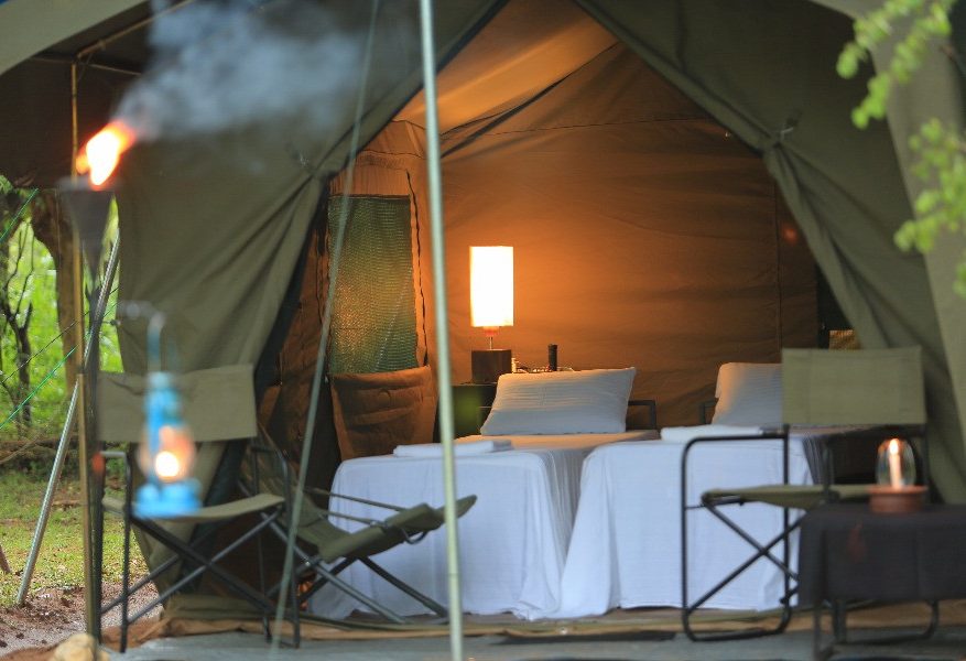Big Camp Safari tent in Wilpattu in Sri Lanka