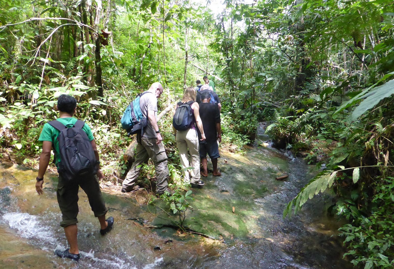 Trekking Gunung Leuser National Park