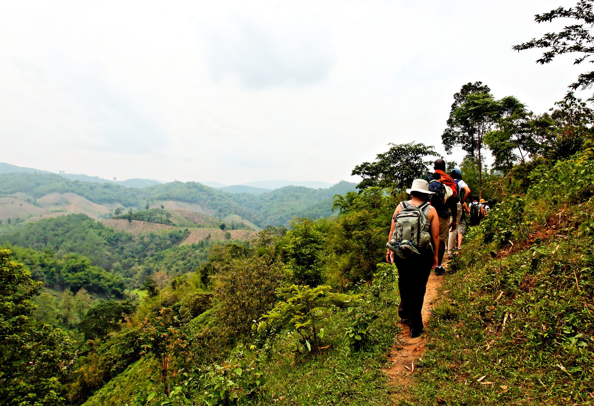 jungle tours & trekking