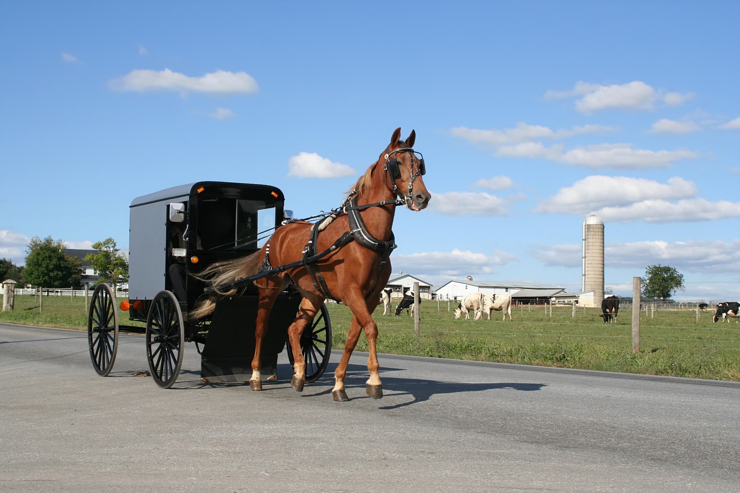Land van de Amish Meerdaagse tour 333travel Land van de Amish Meerdaagse tour 333travel
