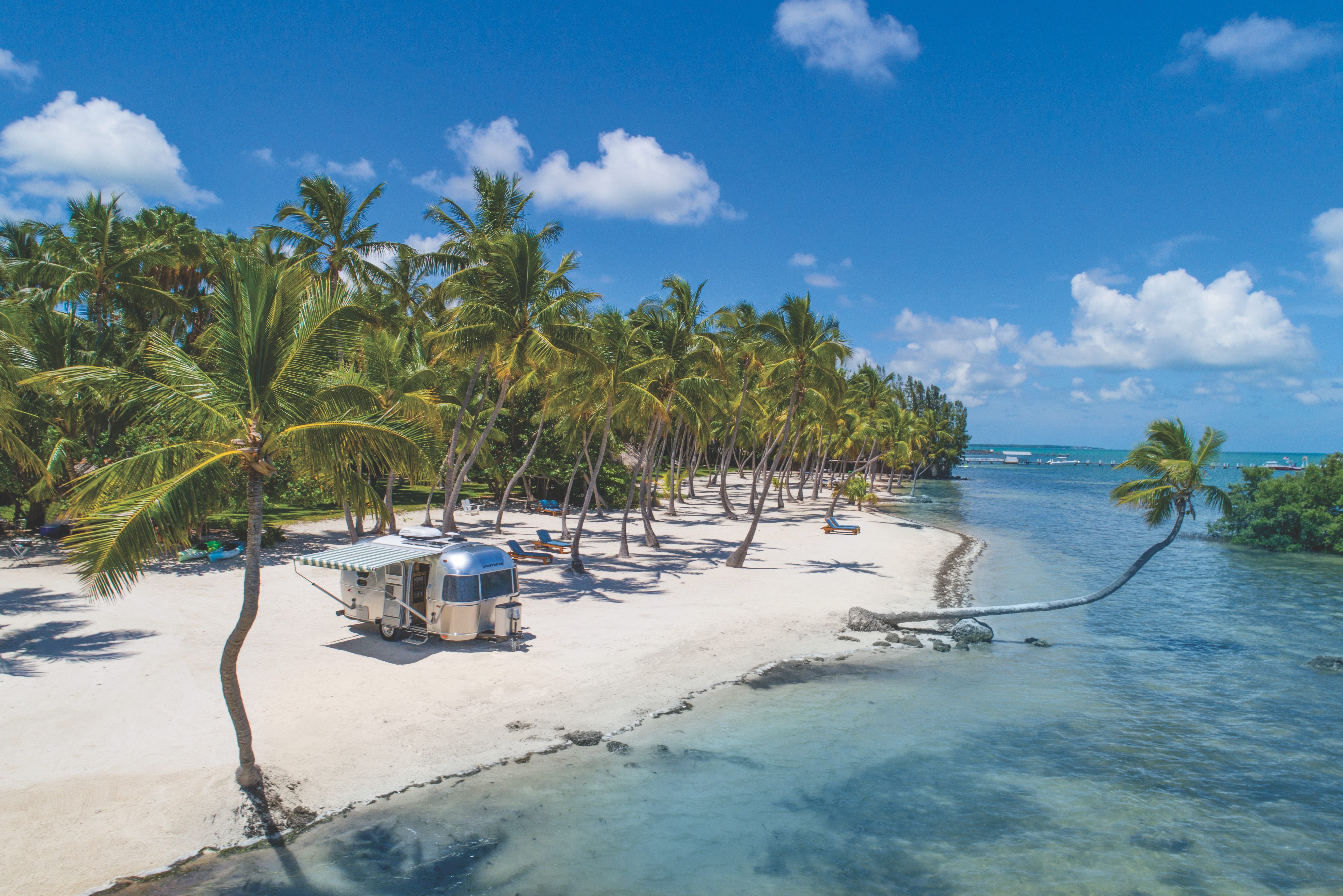 Het dateren in het toevluchtsoord Florida van de winter