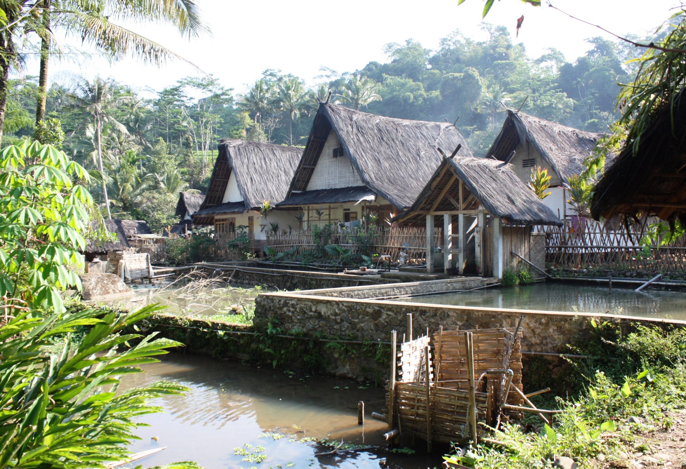 Kampung Naga Java
