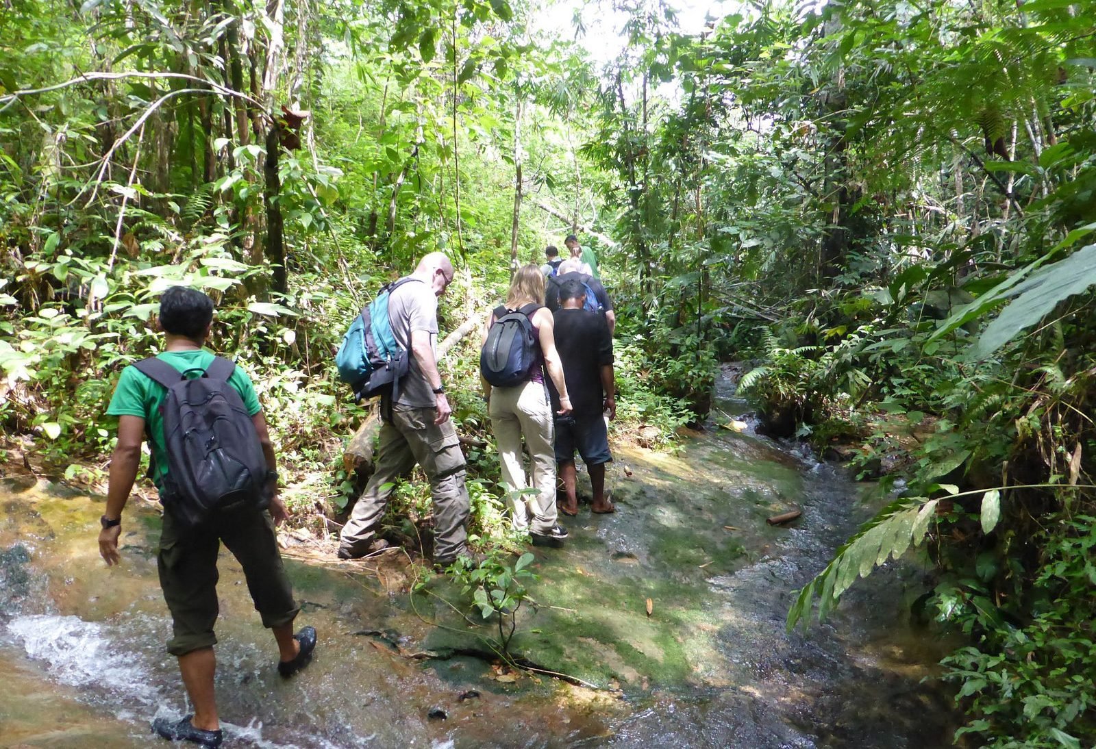 Trekking Bukit Lawang Gunung Leuser Sumatra