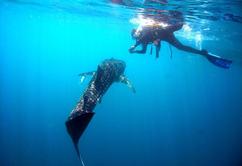 Karimunjawa Eilanden Java