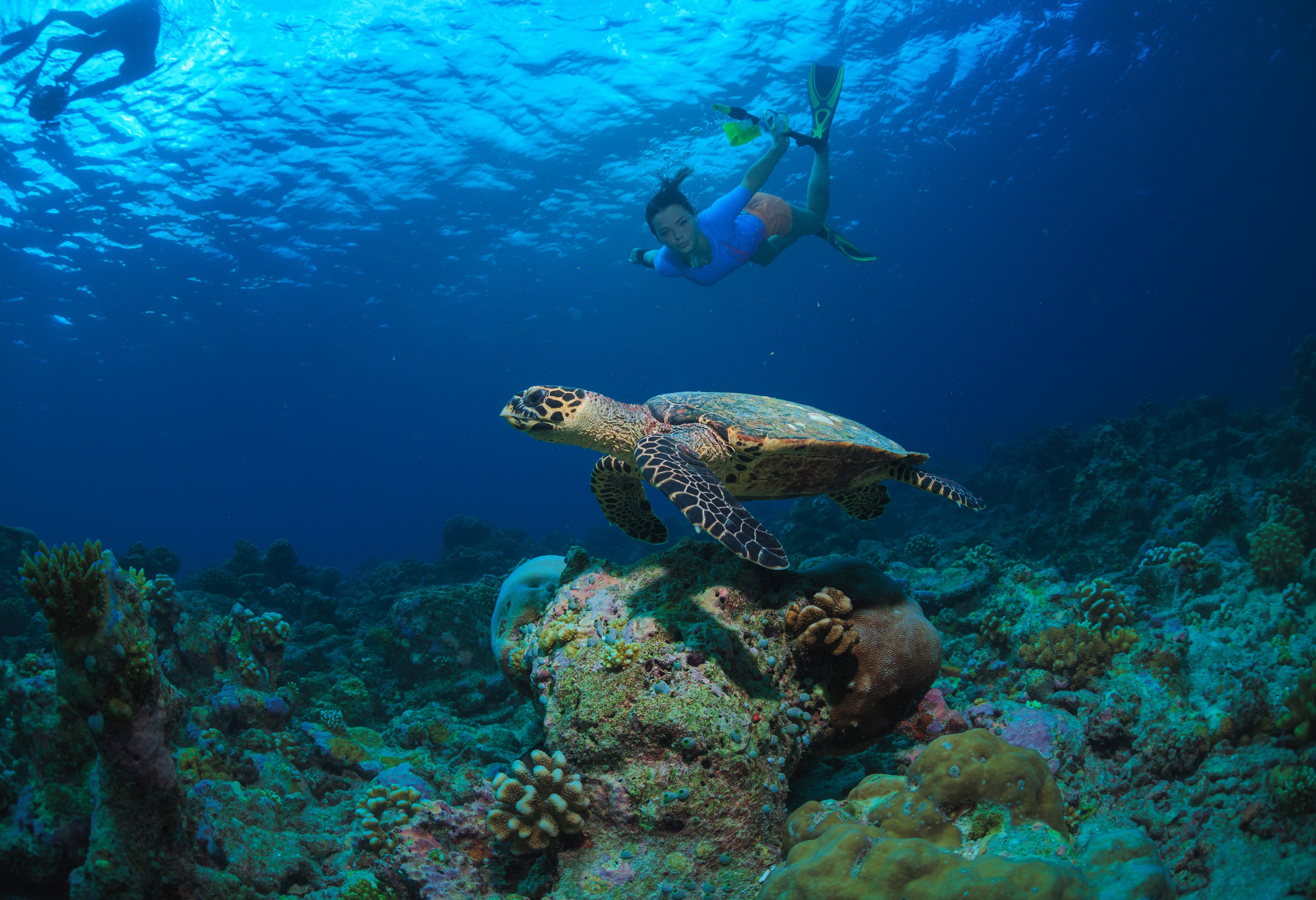 Strandvakantie Perhentian Maleisië snorkelen
