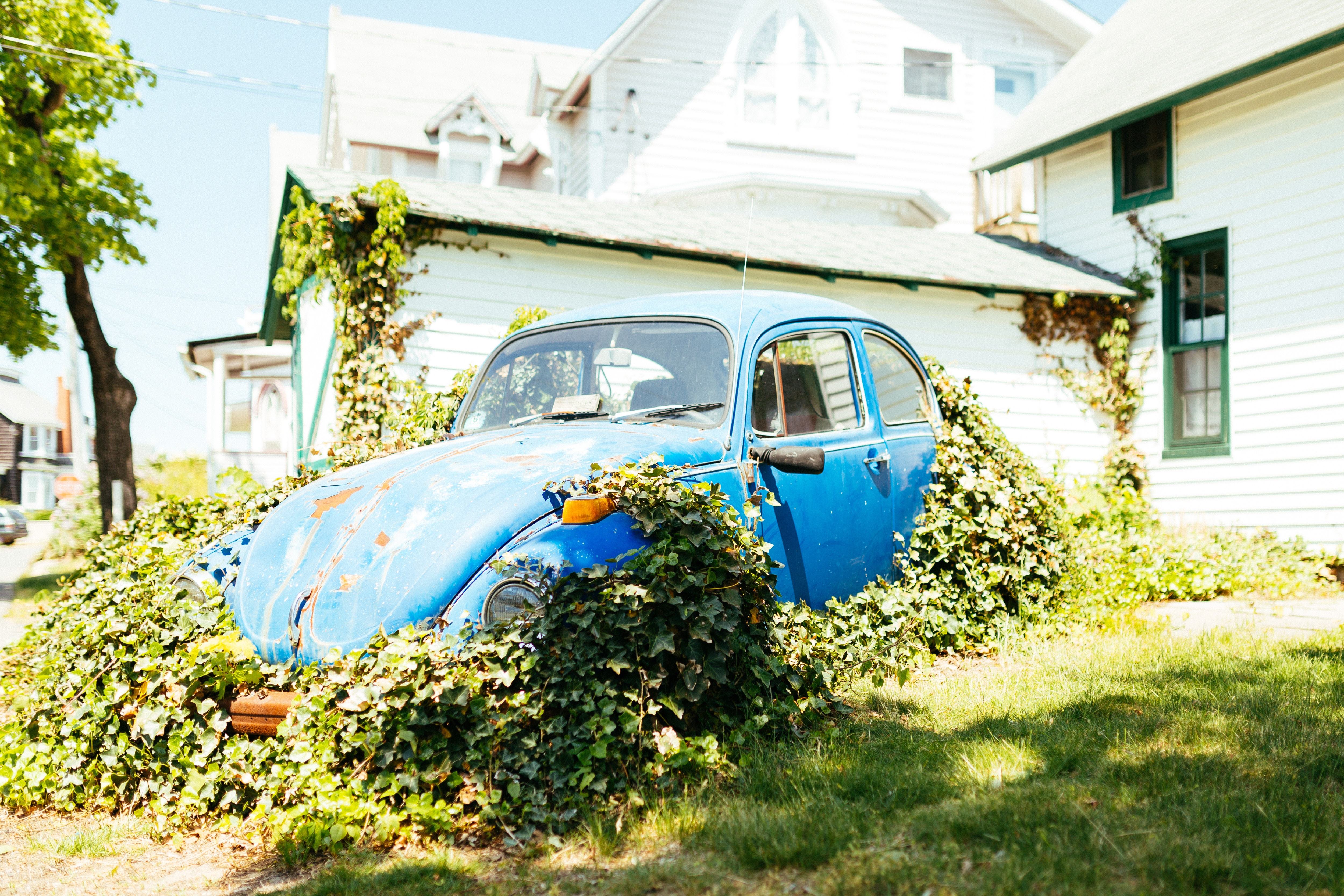 Amerika Martha's Vineyard