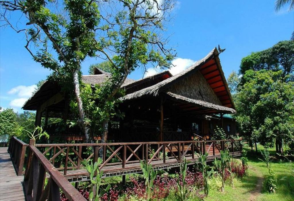 Bilit Rainforest Lodge Kinabatangan Mount Kinabalu National Park Sabah Borneo
