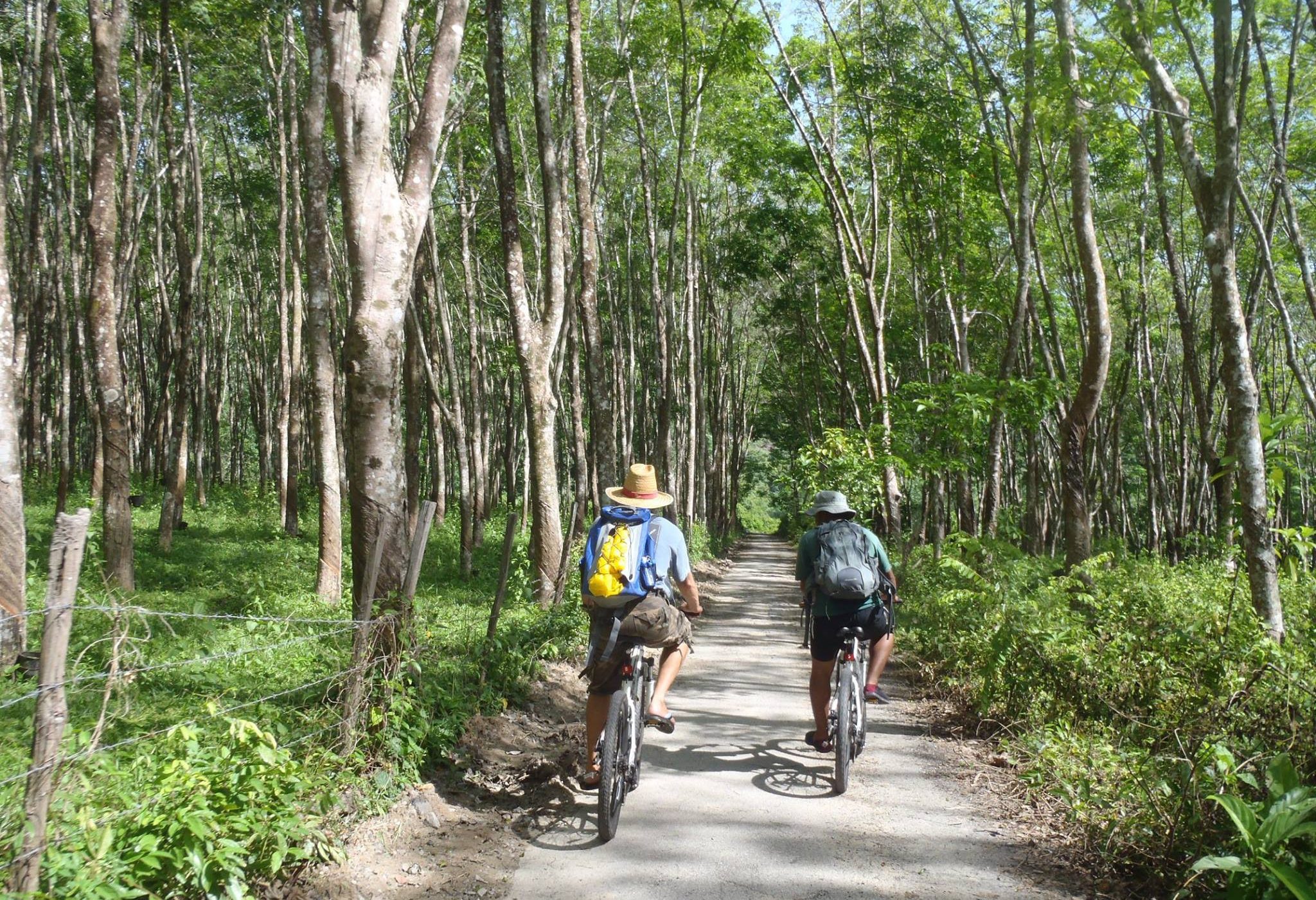 Fietsen op Langkawi
