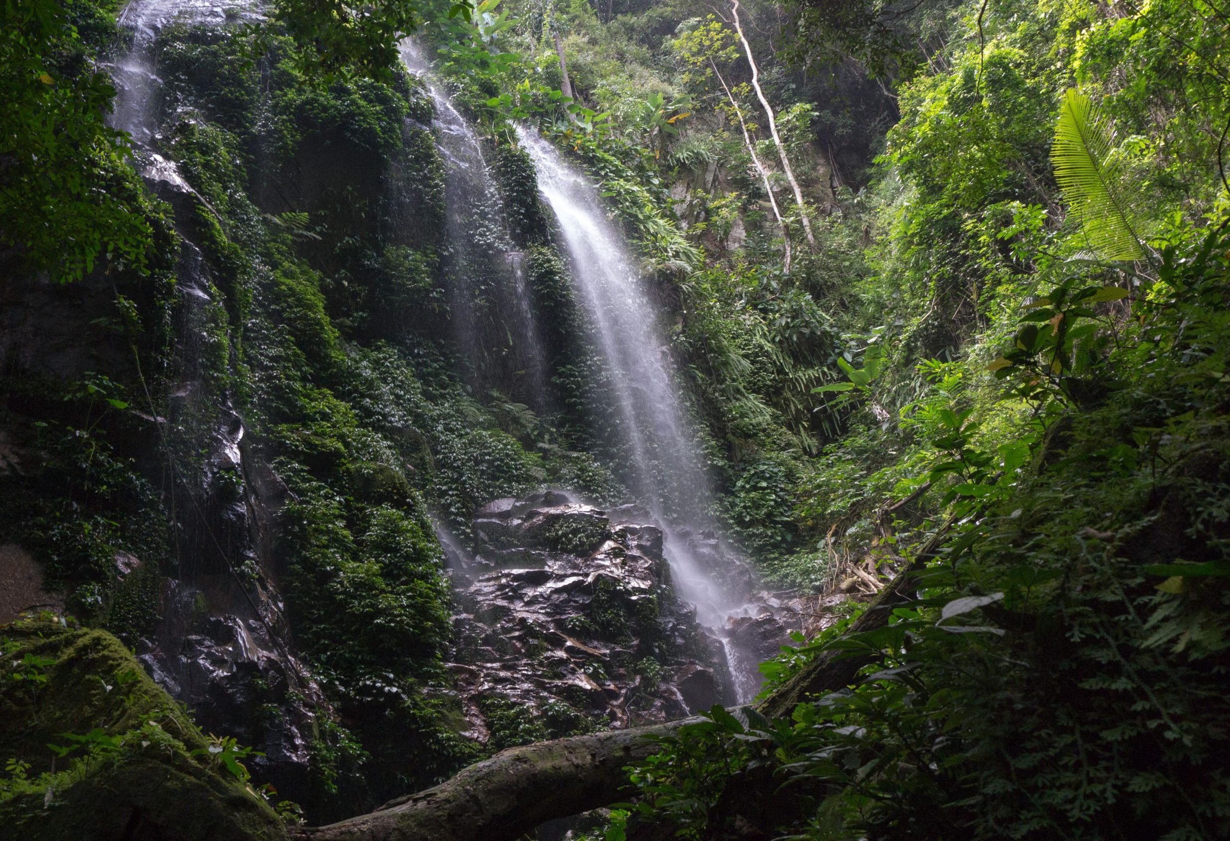Royal Belum Nature Reserve Maleisië waterval
