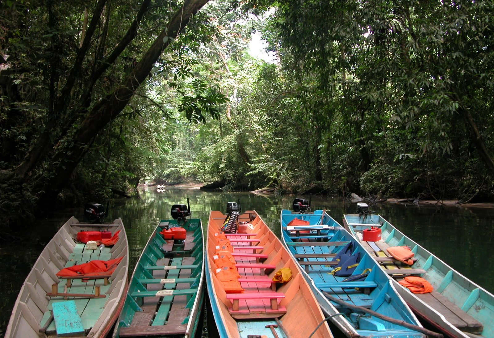 Mulu National Park Sarawak Borneo