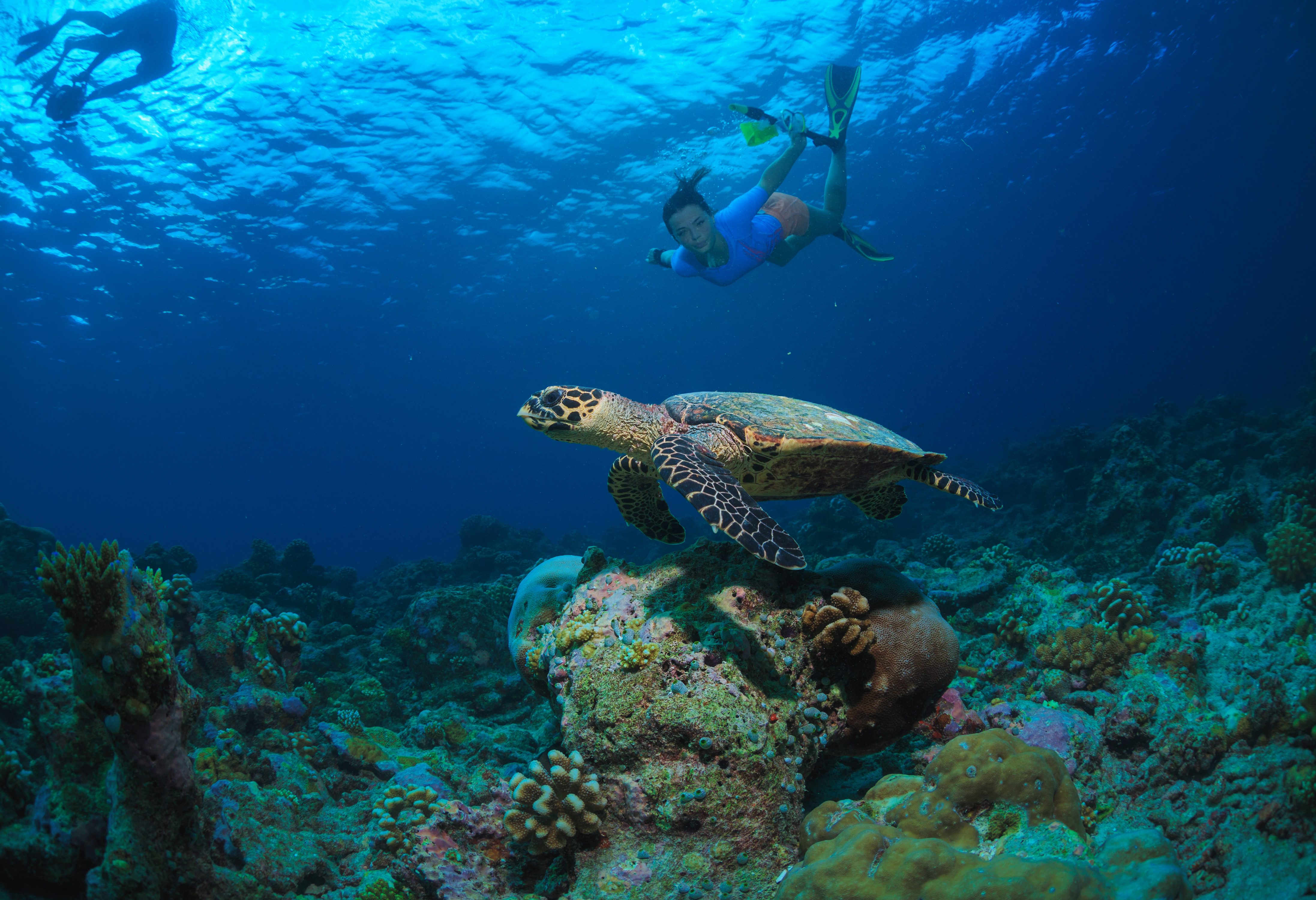 Redang Island strandvakantie Maleisië
