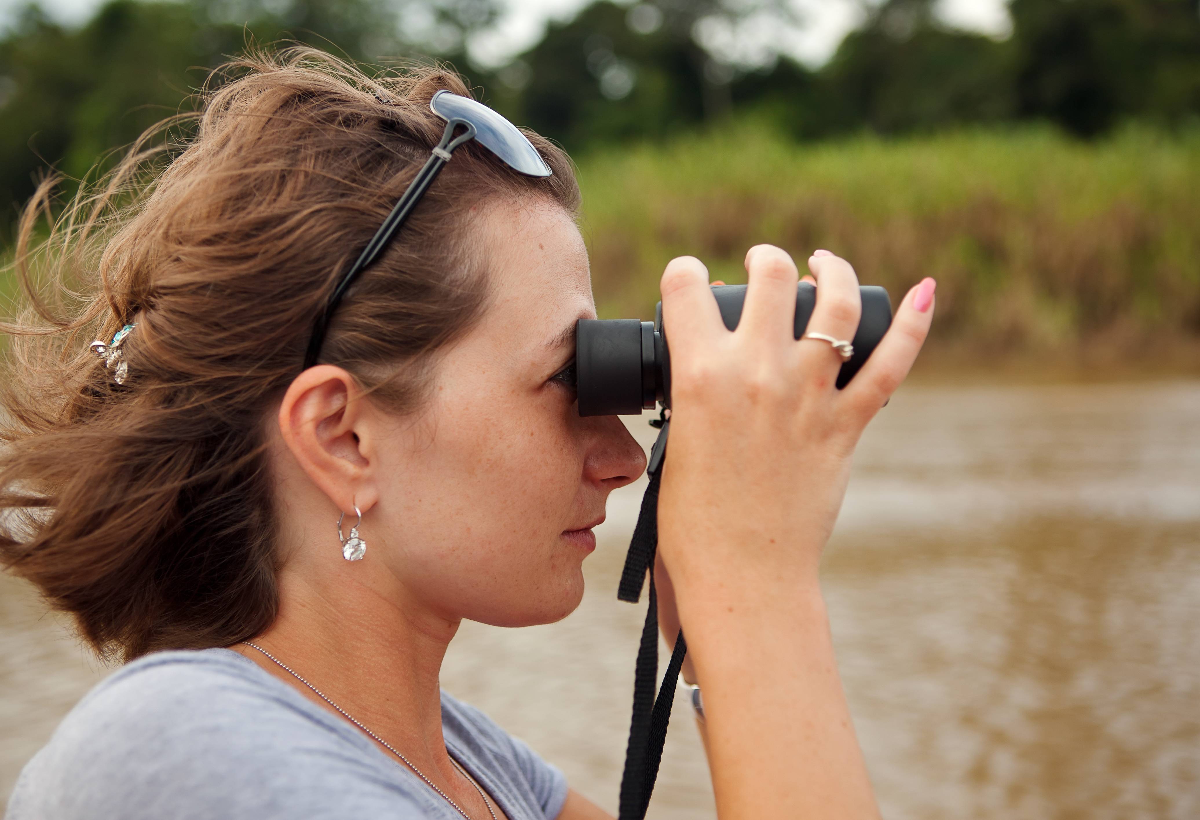 Wildlife spotten Kinabatangan Sabah Borneo