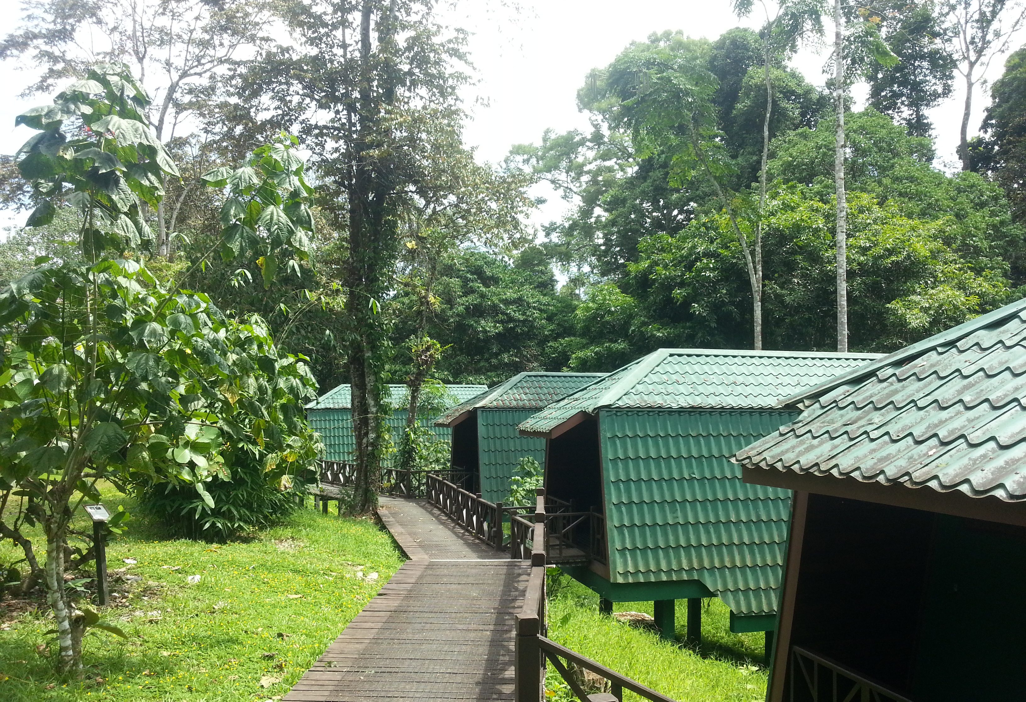 Tabin Wildlife Reserve accommodatie