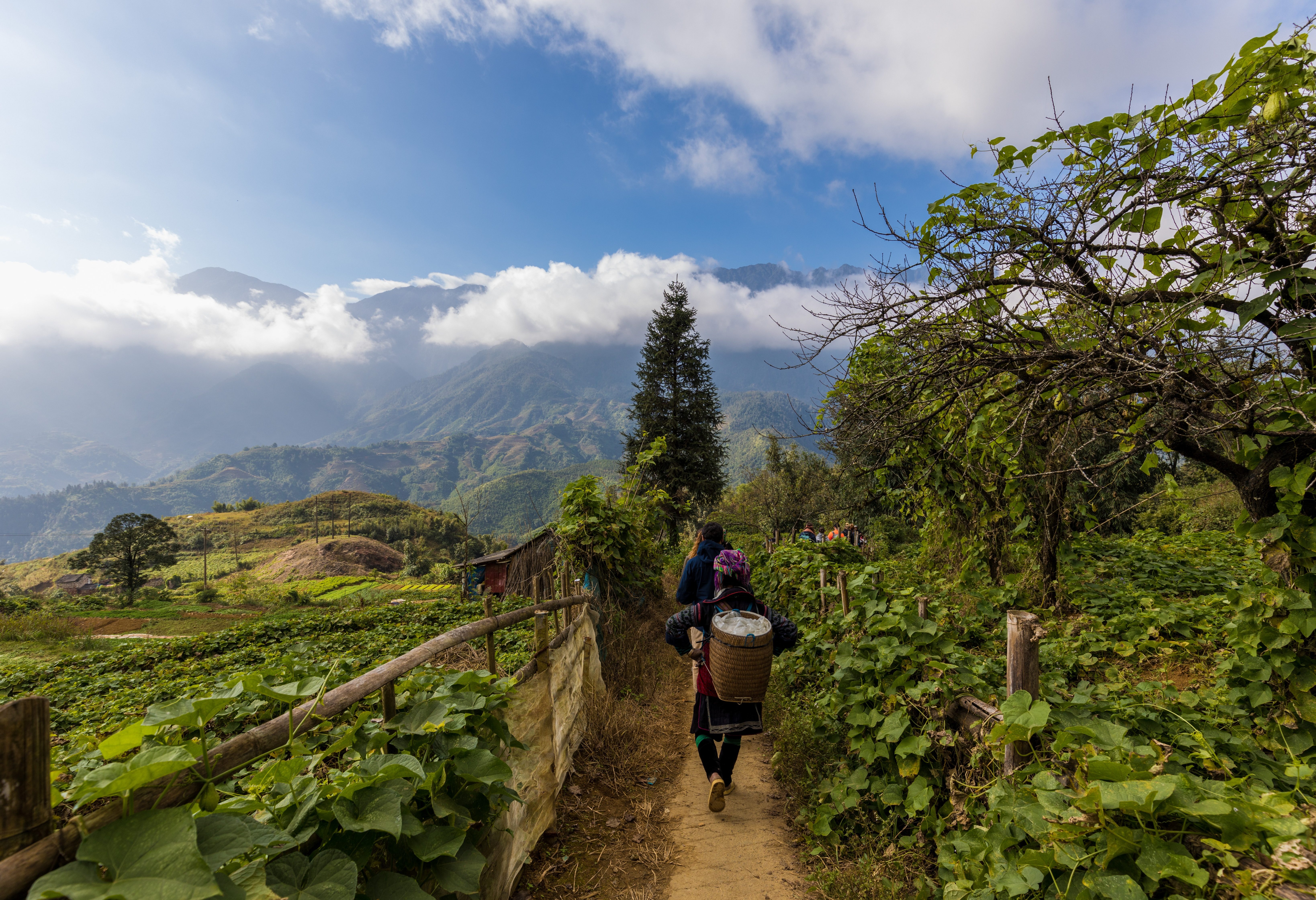 Wandelen door het berglandschap in de regio van Sapa, Vietnam