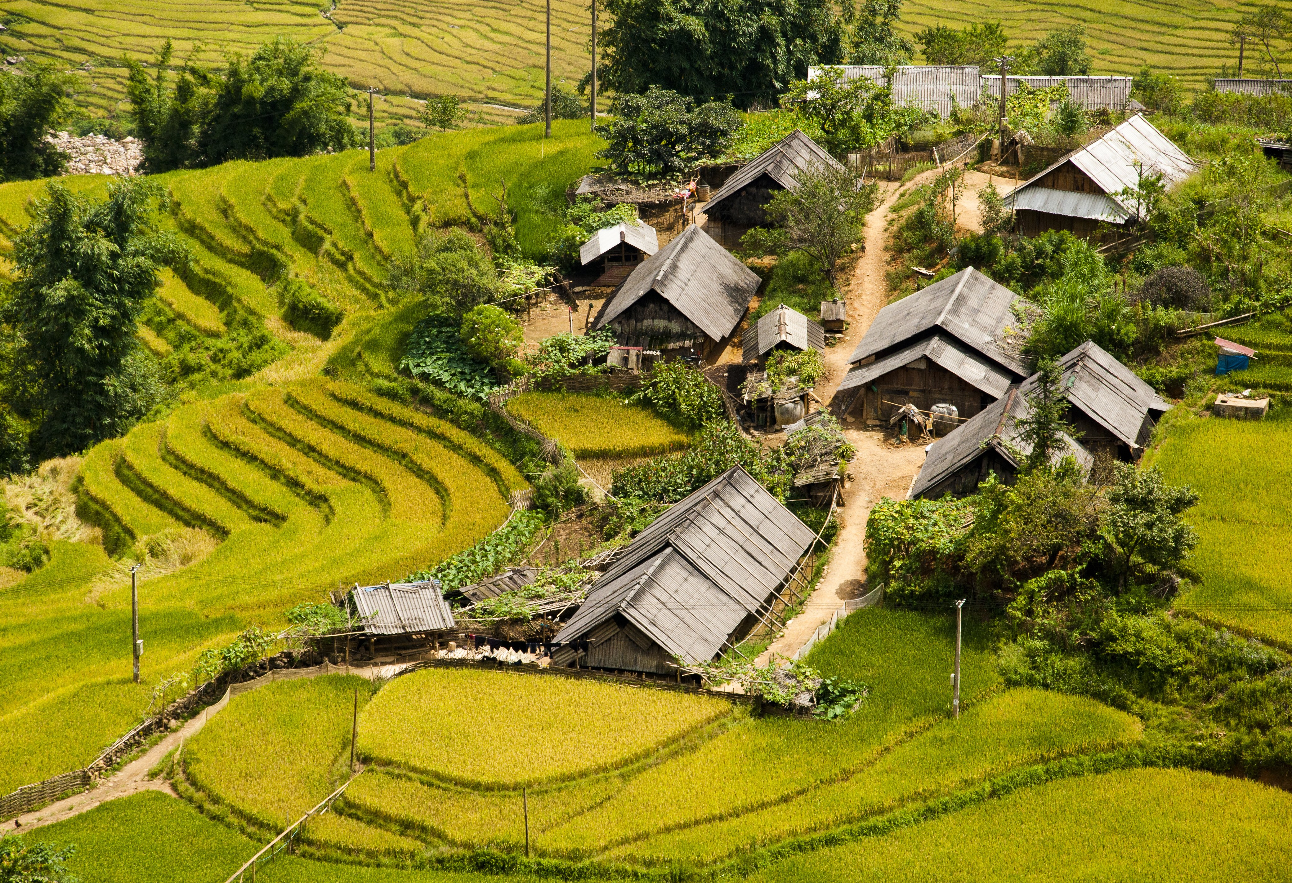 Dorpje tussen de rijstvelden in de regio Sapa, Vietnam