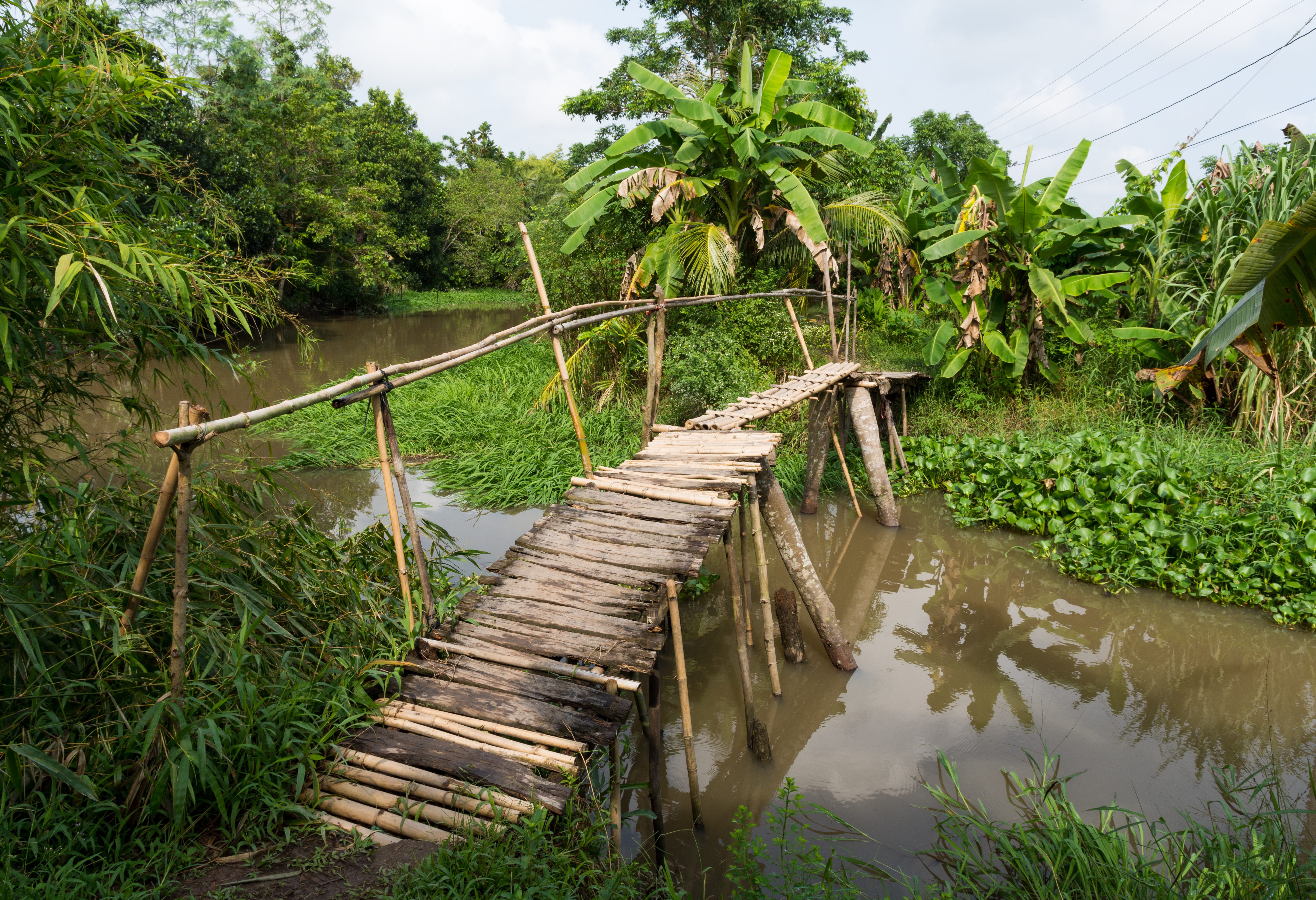 Bamboe brug in de Mekong Delta in Vietnam