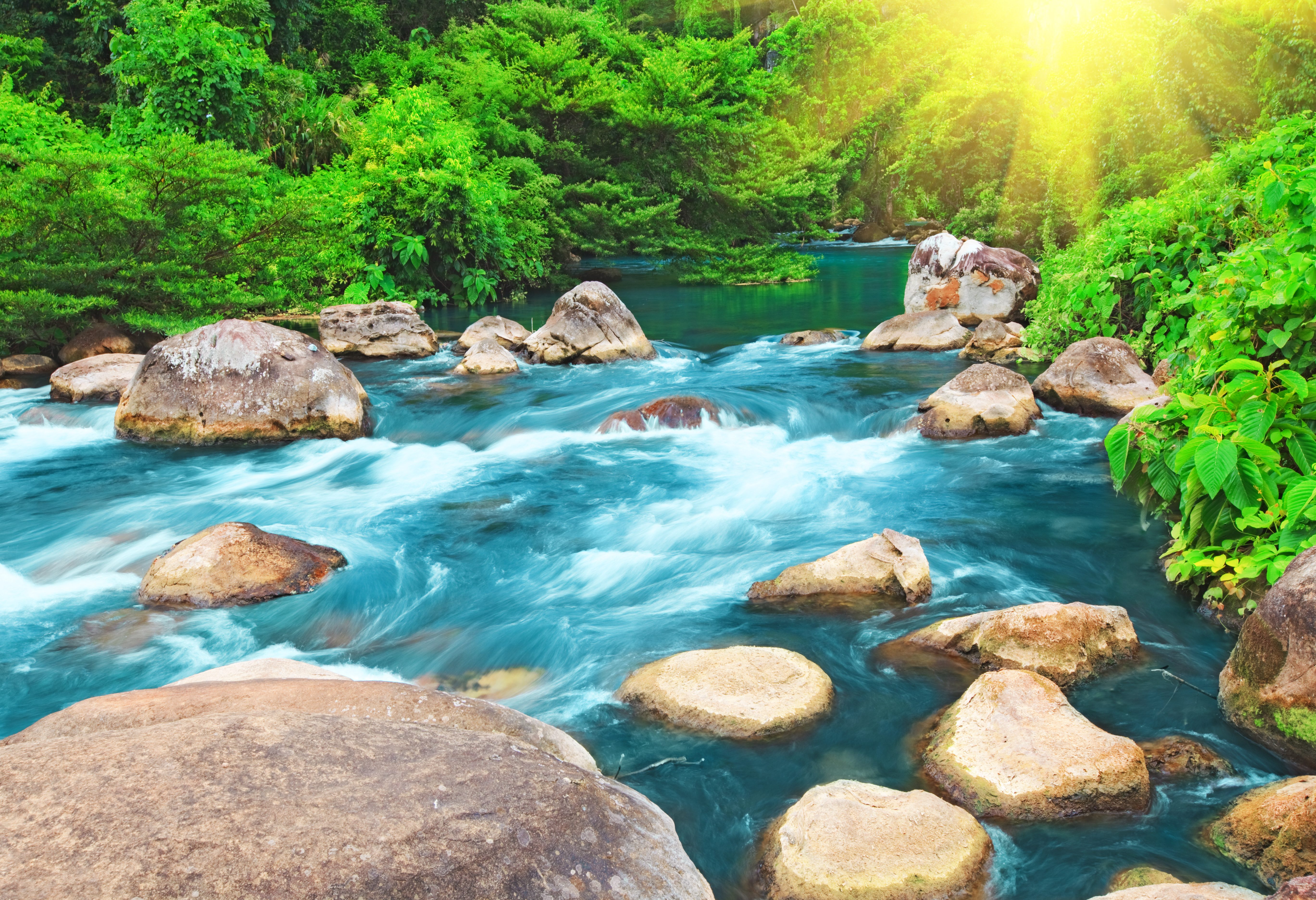 Phong Nha Ke Bang National Park in Vietnam