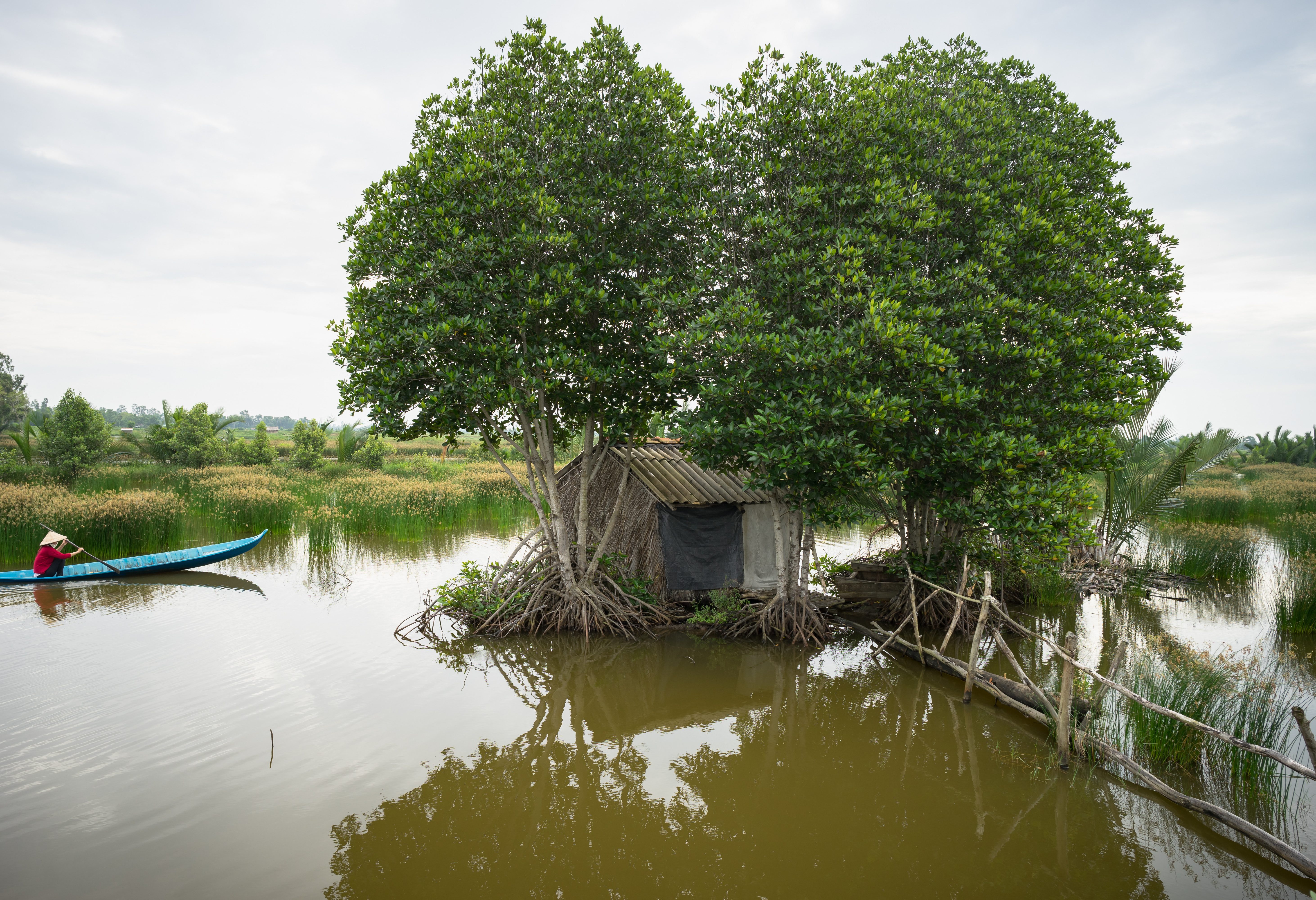 Landschap en lokale leven in de Mekong Delta in Vietnam