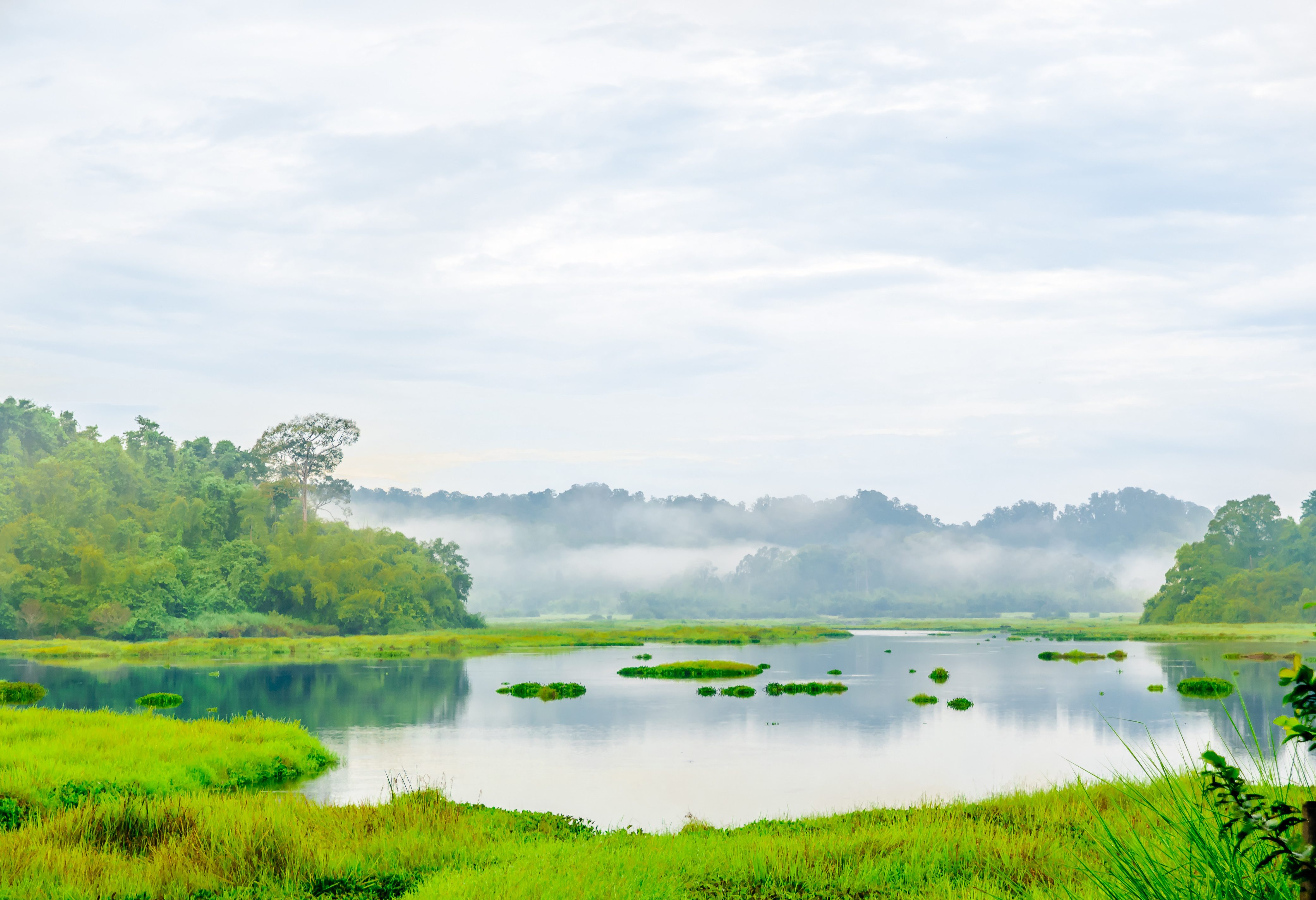 Crocodile Lake in het Cat Tien National Park in Vietnam